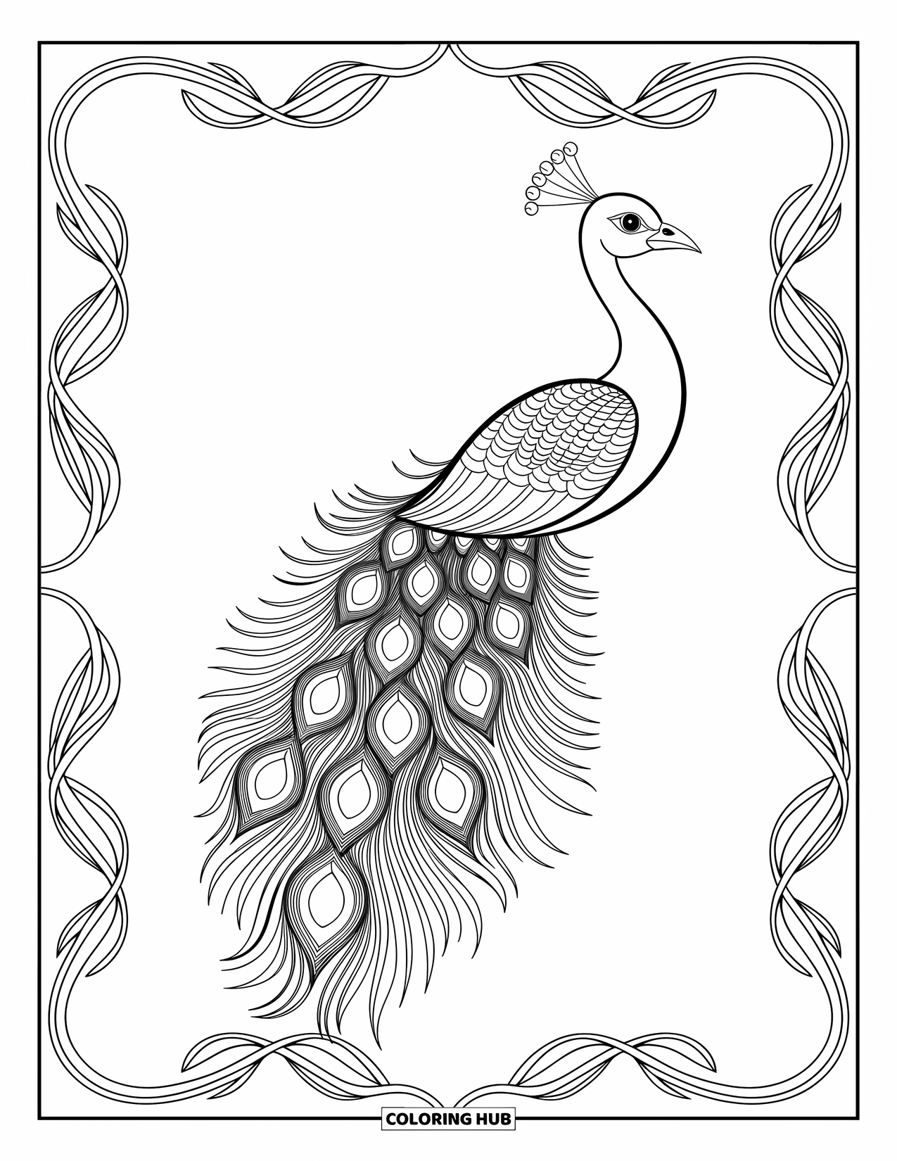 Desenho de pena para colorir para adultos: Uma pena de pavão com linhas concêntricas e padrões ornamentados