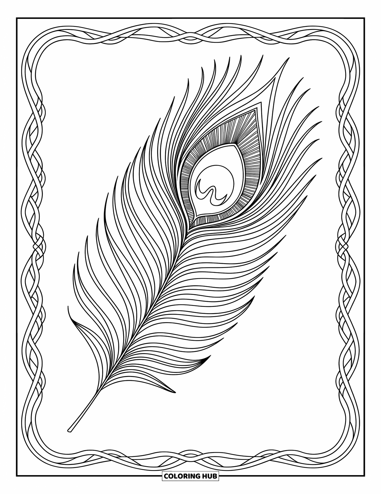 Desenho de pena para colorir para adultos: Uma pena de pavão com detalhes ornamentados e linhas elegantes