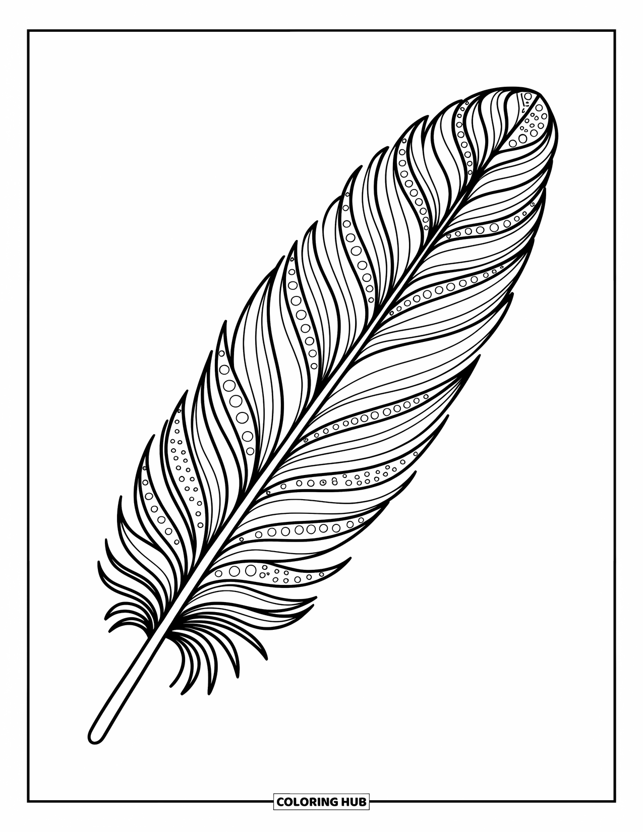 Desenho de pena para colorir para adultos: Uma pena estilo zentangle com redemoinhos e pontos intrincados