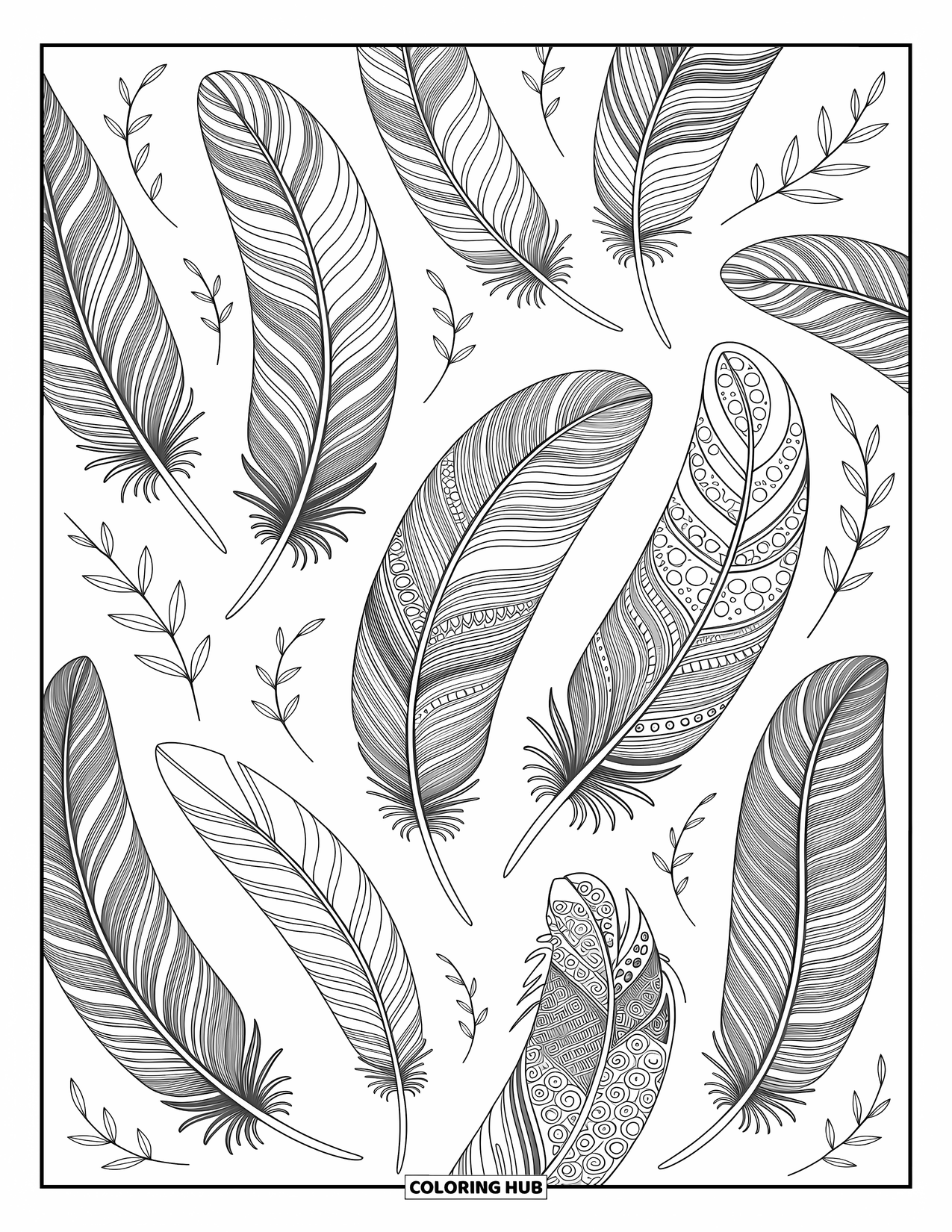 Desenho de pena para colorir para adultos: Penas com padrões florais e motivos em espiral