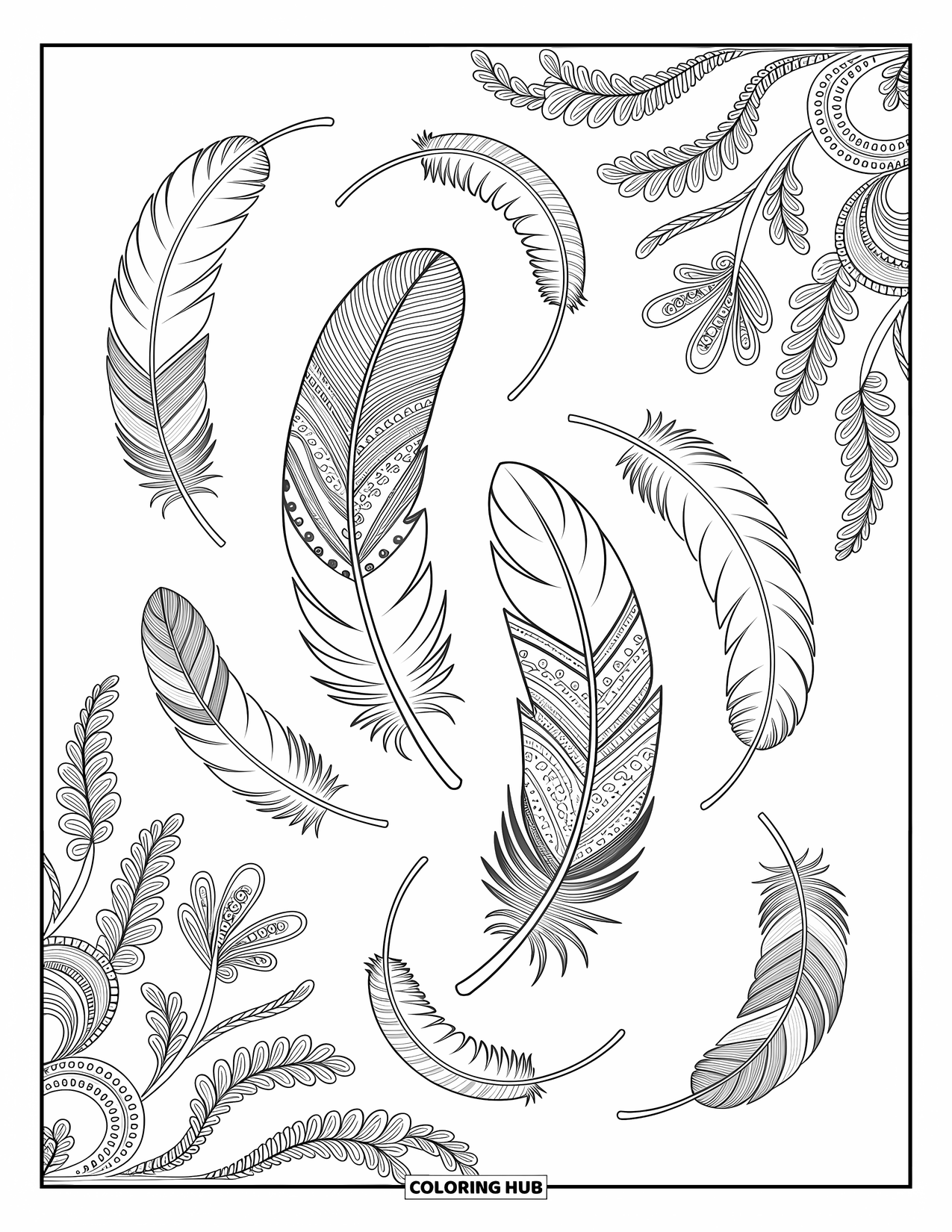 Desenho de pena para colorir para adultos: Penas com intrincados desenhos paisley e florais