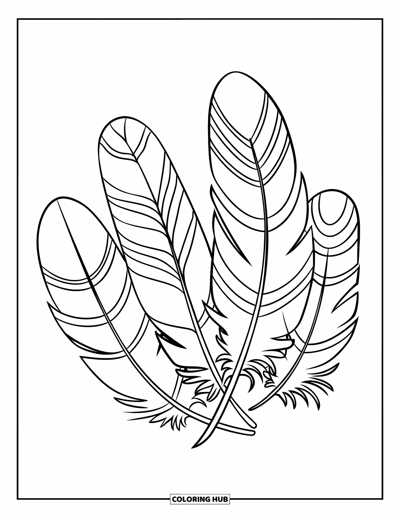 Desenho de pena para colorir para crianças: Um conjunto de penas com listras e ondas em um padrão circular