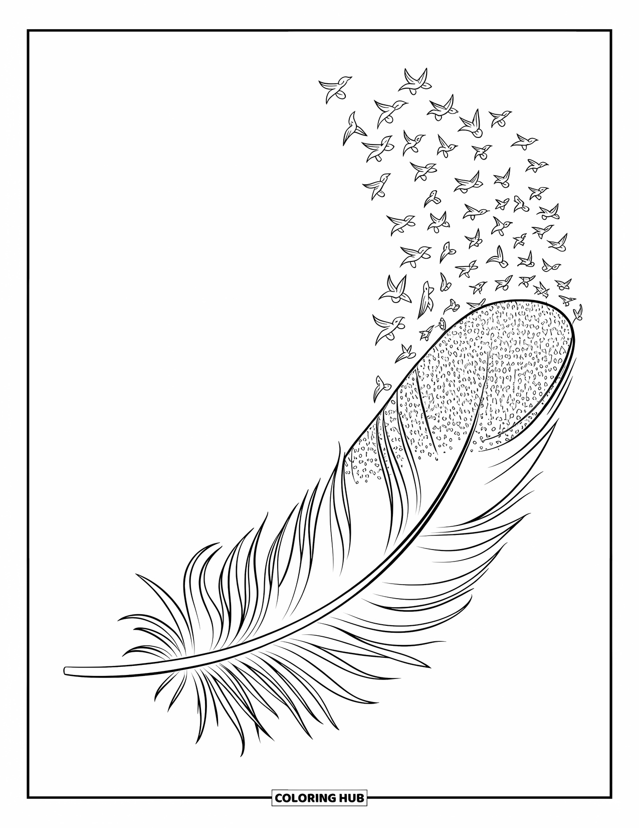 Desenho de pena para colorir para crianças: Uma pena se quebrando em pequenos pássaros voando para longe