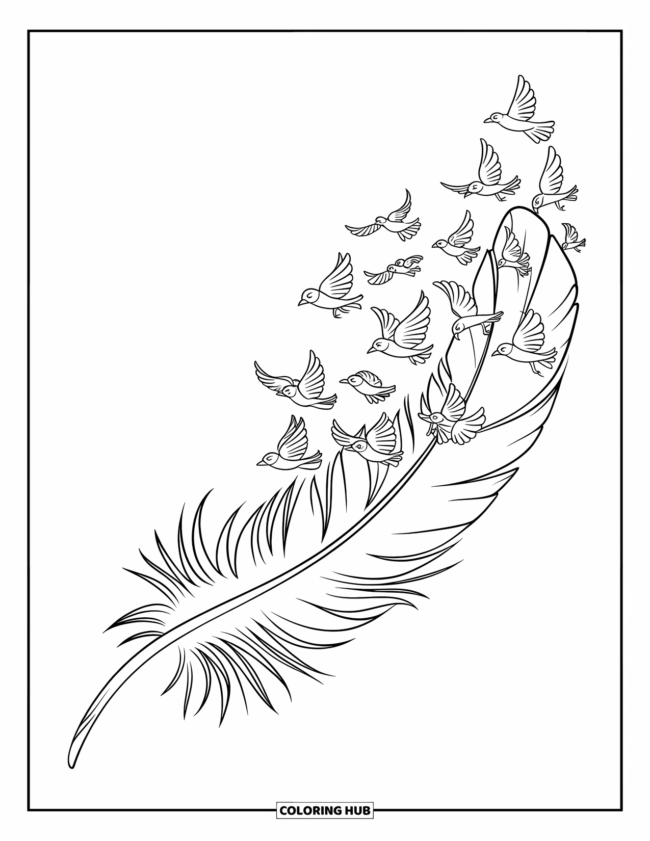 Desenho de pena para colorir para crianças: Uma pena se quebrando em pequenos pássaros voando em diferentes direções