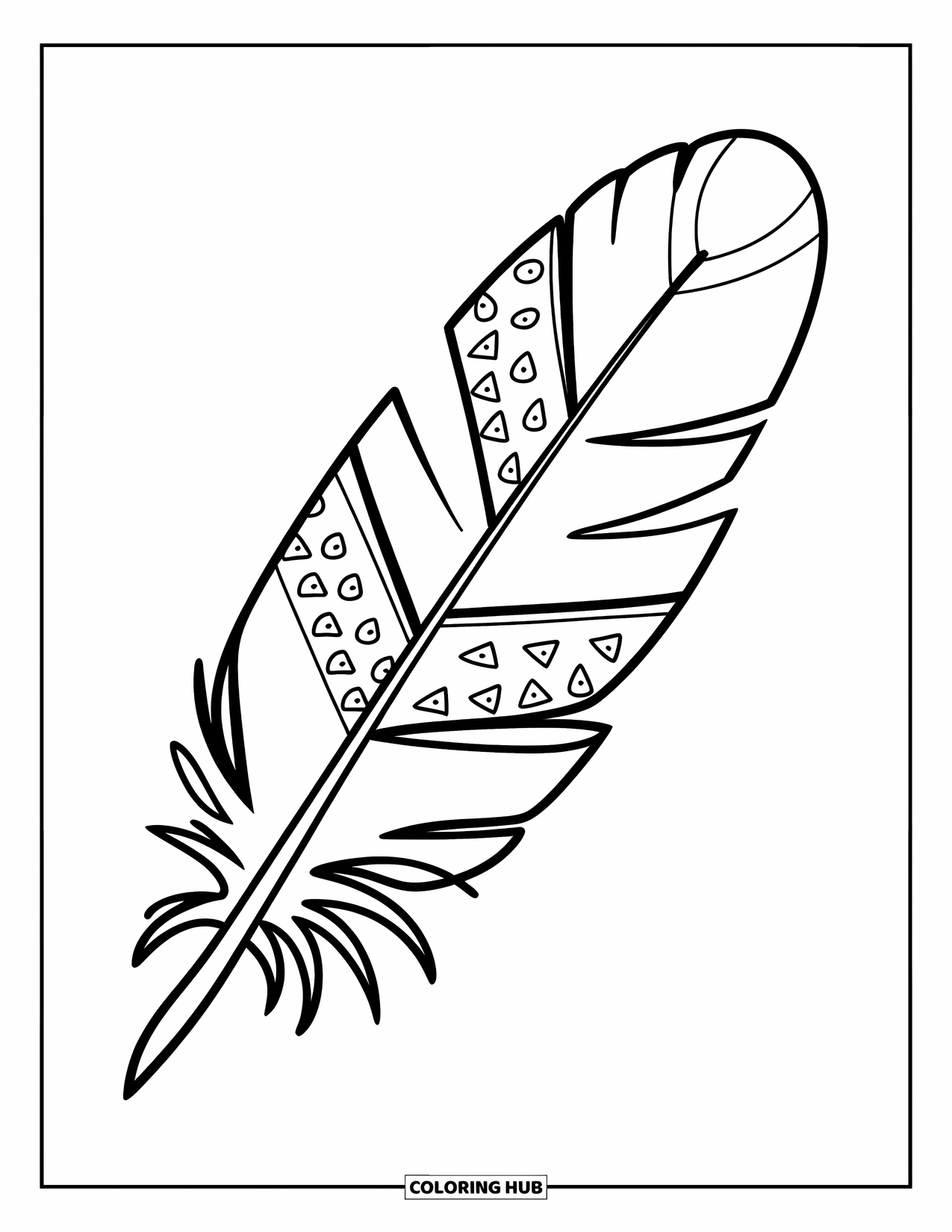 Desenho de pena para colorir para crianças: Uma pena com diferentes padrões em cada seção