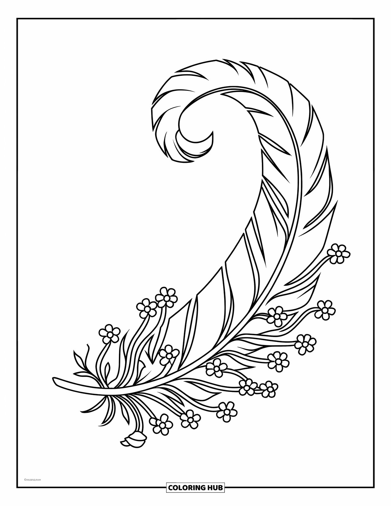 Desenho de pena para colorir para crianças: Uma pena com vinhas intrincadas e pequenas flores enroladas ao redor dela