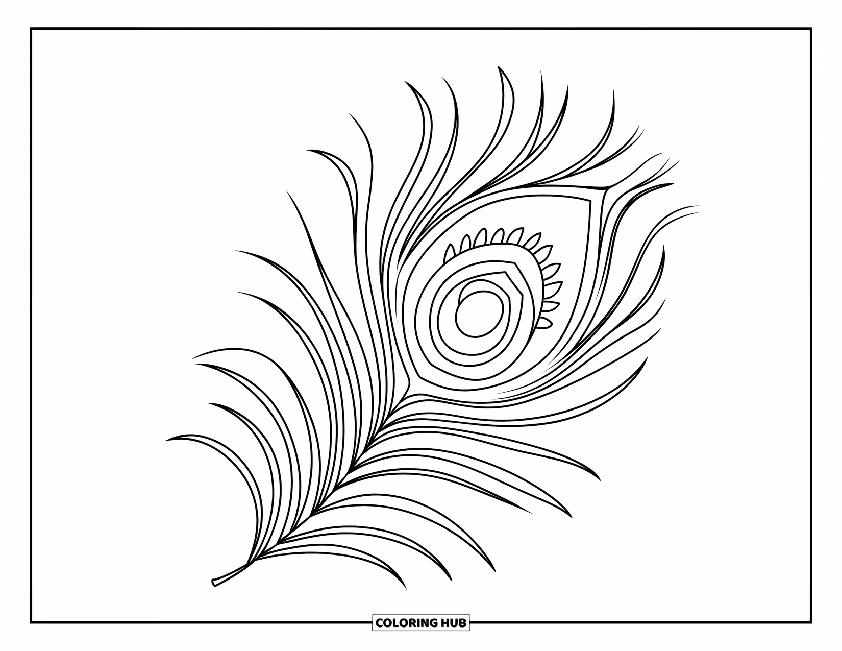 Desenho de pena para colorir para crianças: Uma pena de pavão com um ponto ocular detalhado e padrões de círculo intrincados