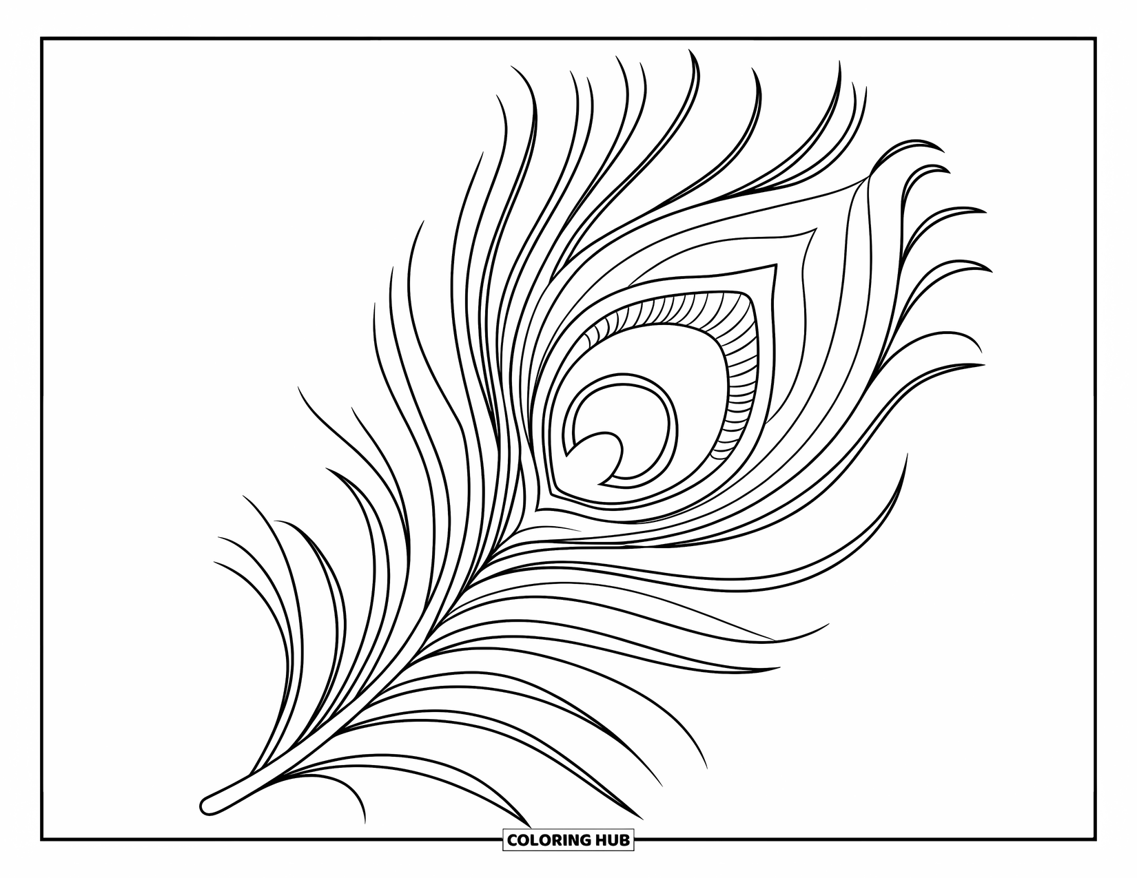 Desenho de pena para colorir para crianças: Uma pena de pavão com um grande ponto ocular e padrões internos delicados
