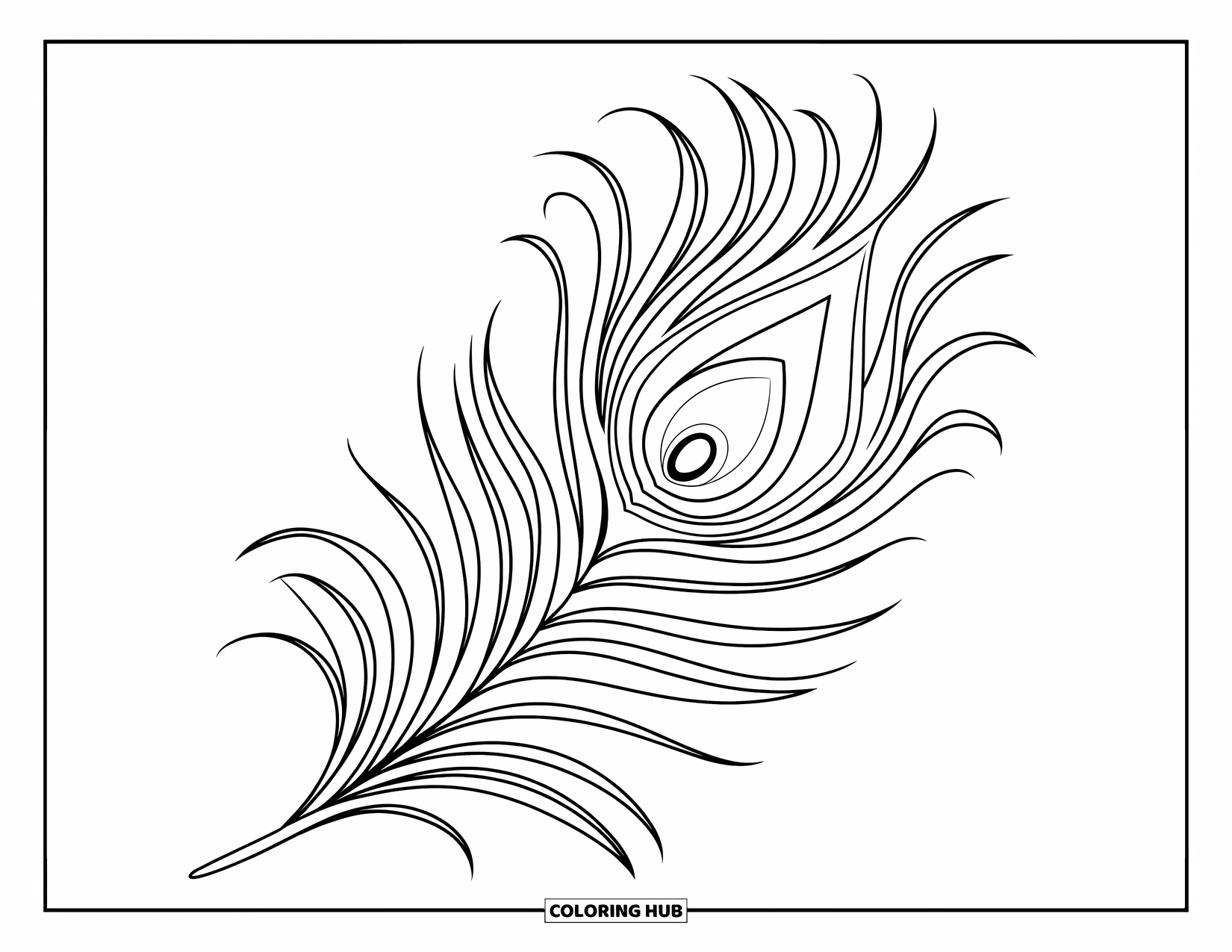 Desenho de pena para colorir para crianças: Uma pena de pavão com designs internos intrincados e um ponto ocular ousado