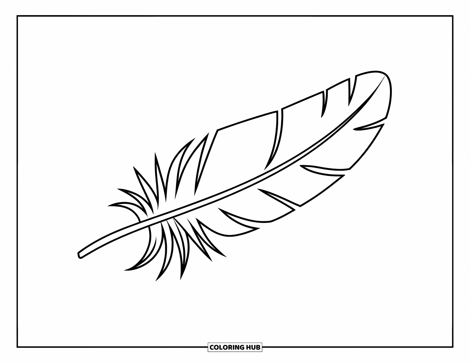 Desenho de pena para colorir para crianças: Uma pena simples dividida ao meio com uma linha reta