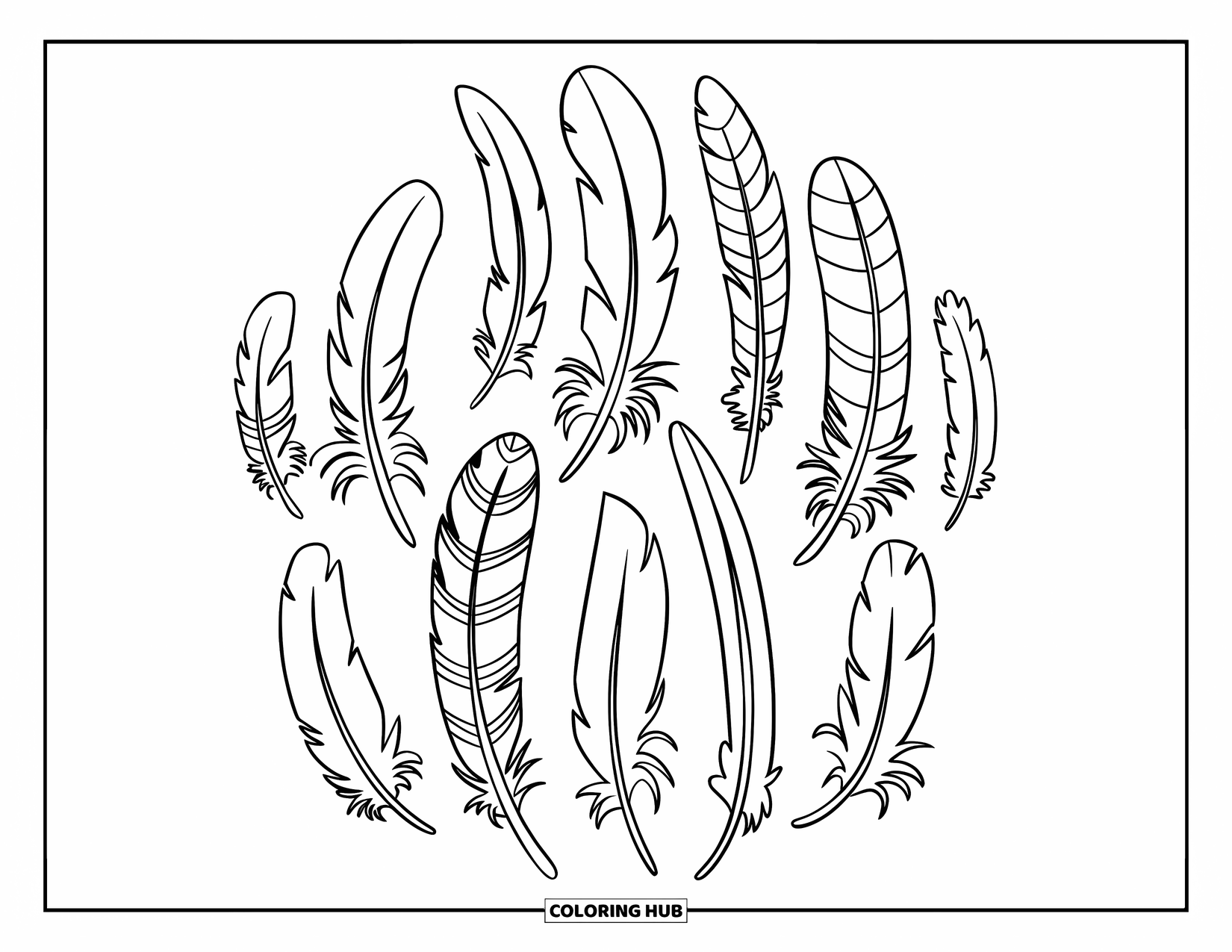 Desenho de pena para colorir para crianças: Penas abertas em um rochedo perto da água