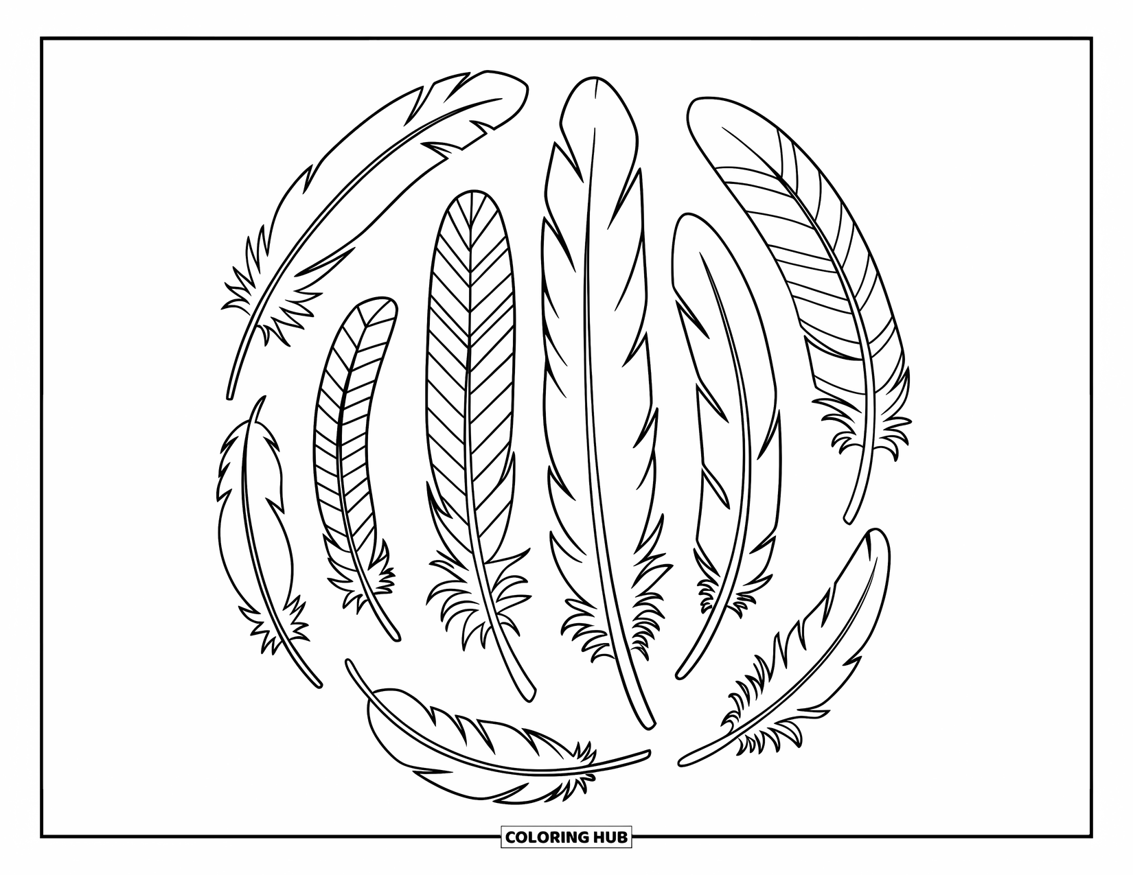 Desenho de pena para colorir para crianças: Penas de diferentes comprimentos dispostas em um padrão circular