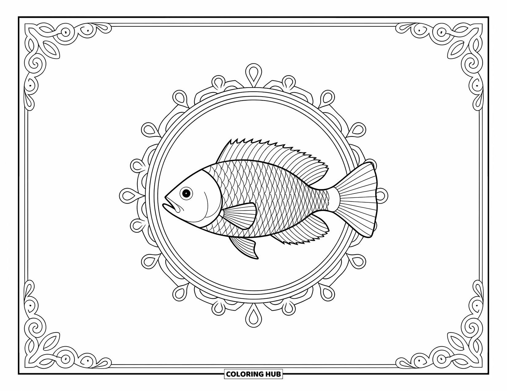 Fisch Ausmalbild für Erwachsene: Ein wunderschön gemusterter Fisch ruht im Zentrum eines kunstvollen kreisförmigen Designs