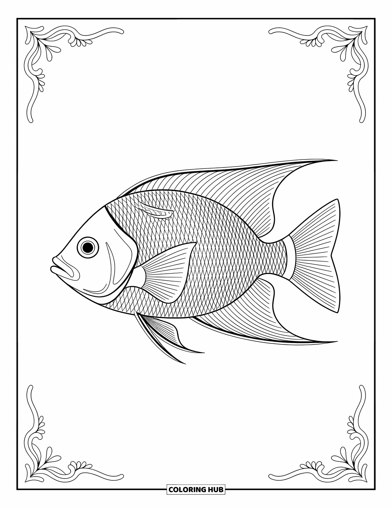 Fisch Ausmalbild für Erwachsene: Ein schlanker tropischer Fisch mit zarten, symmetrischen Mustern in einem auffälligen Design