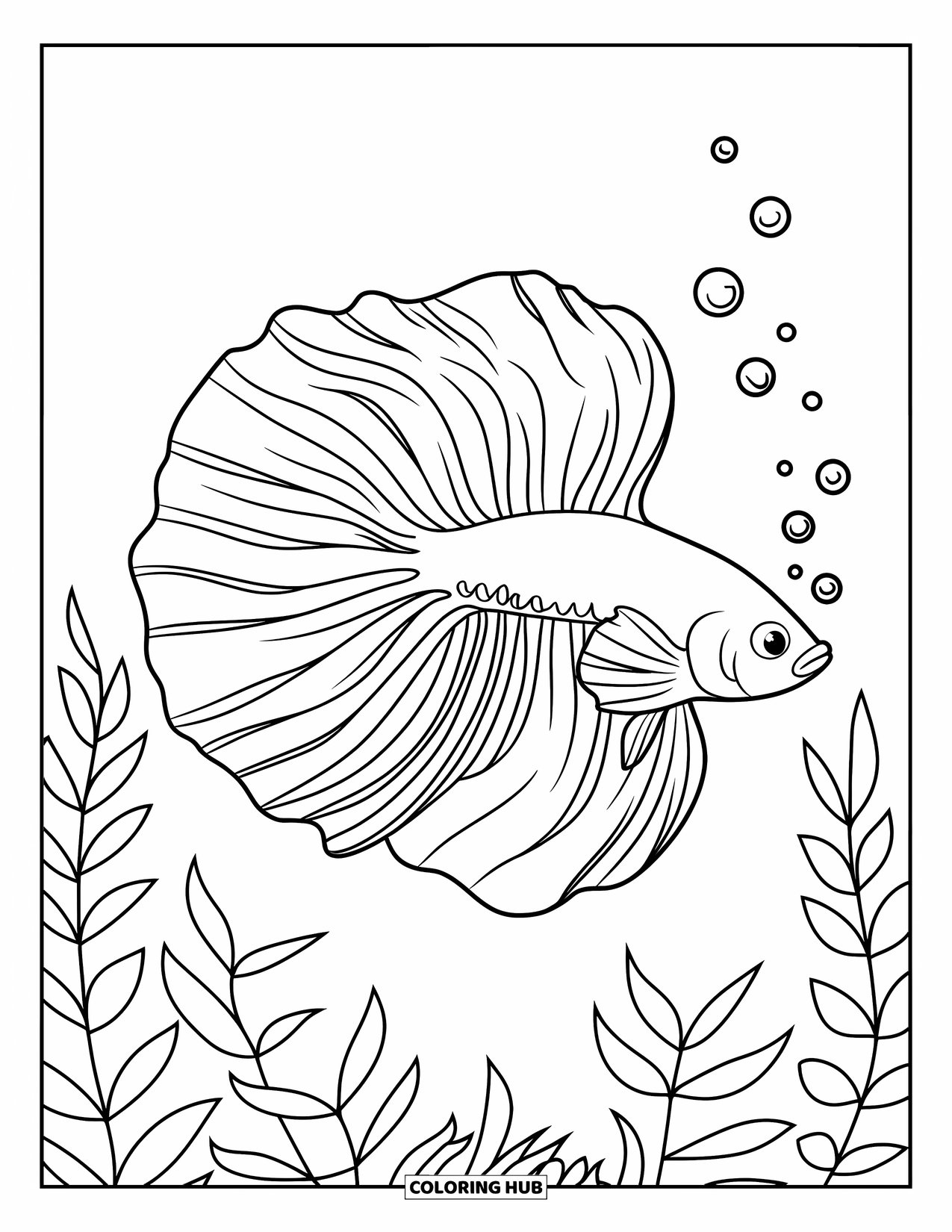 Fisch Ausmalbild für Kinder: Ein Betta-Fisch schwimmt in klarem Wasser, sein Schwanz zieht elegant zwischen schwebenden Blasen