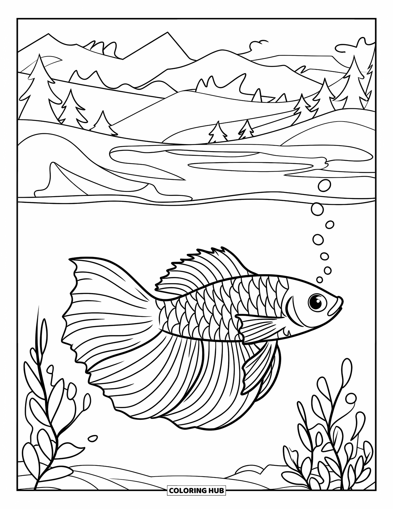 Fisch Ausmalbild für Kinder: Ein Betta-Fisch mit einem fließenden Schwanz schwimmt durch ruhiges Wasser, umgeben von winzigen Blasen