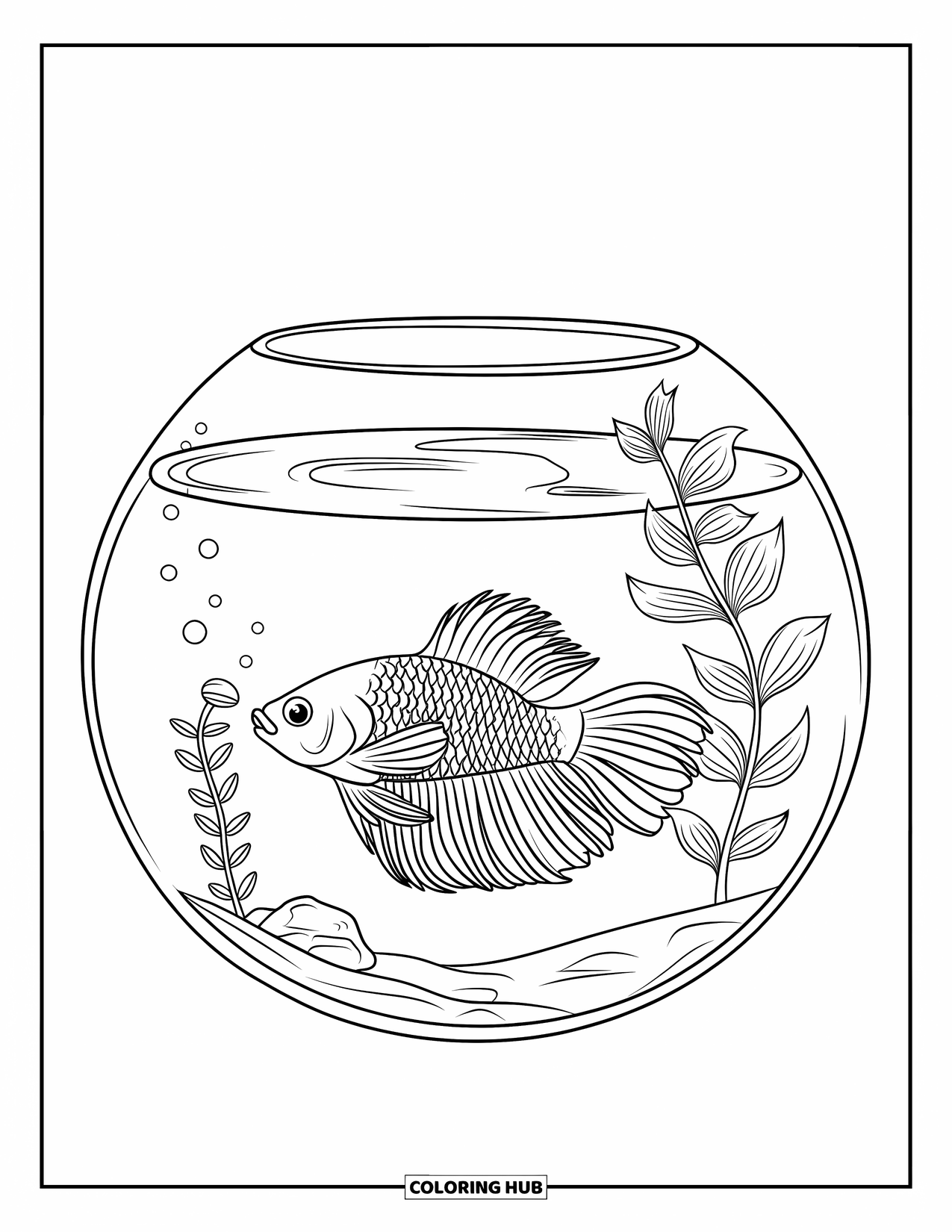 Fisch Ausmalbild für Kinder: Ein Betta-Fisch mit einem kurzen, gewellten Schwanz schwimmt in einem Aquarium mit einer winzigen Pflanze