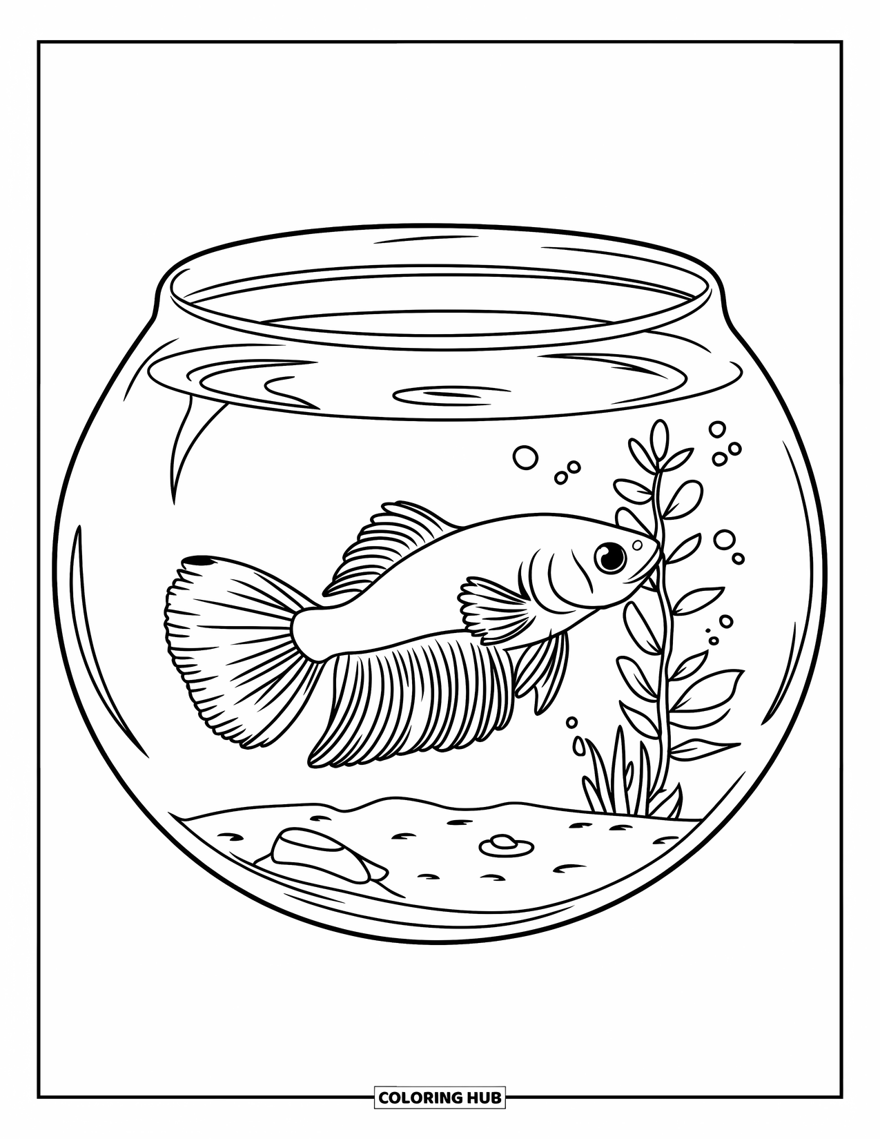 Fisch Ausmalbild für Kinder: Ein Betta-Fisch mit einem gewellten Schwanz schwimmt in einem runden Aquarium mit einer winzigen Pflanze