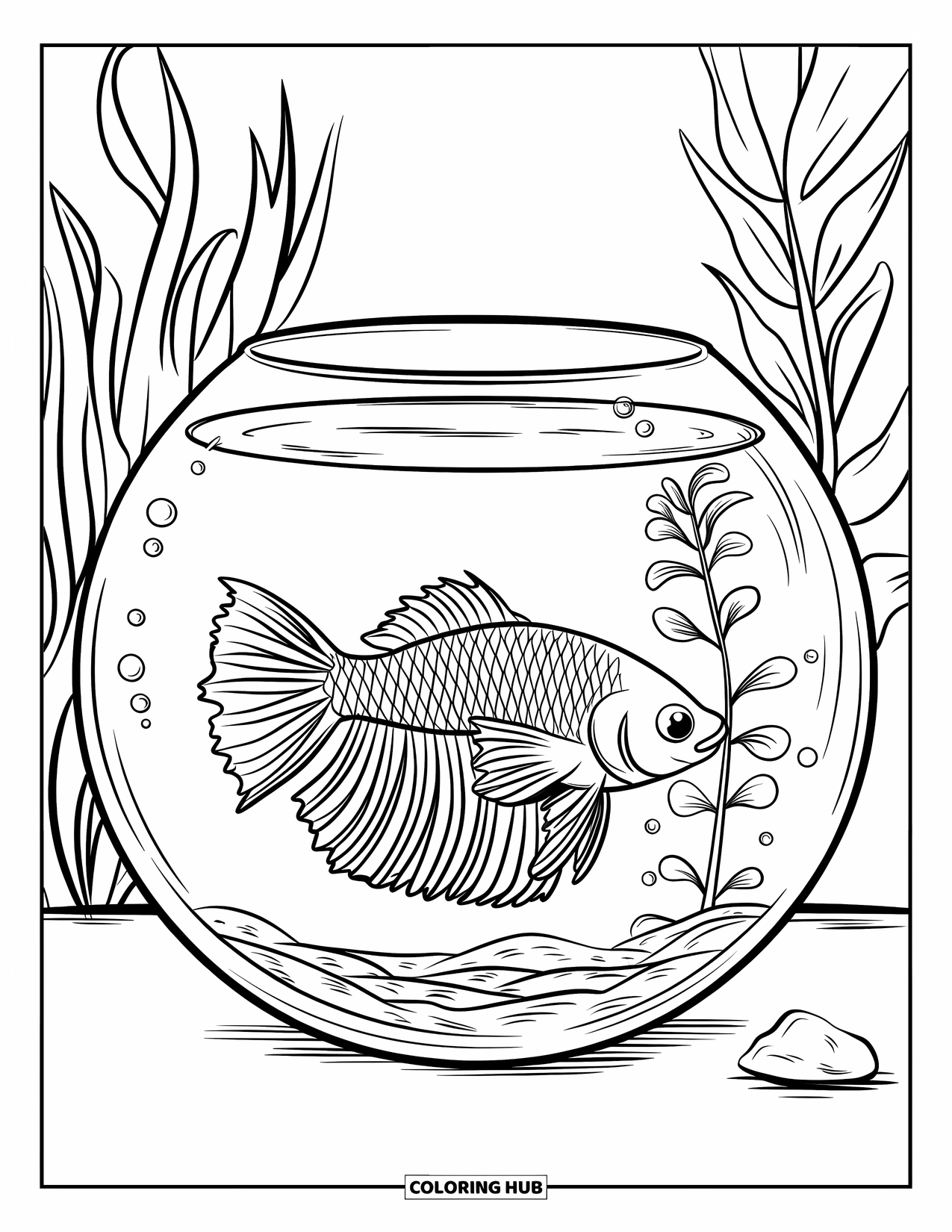 Fisch Ausmalbild für Kinder: Ein anmutiger Betta-Fisch treibt in einem runden Aquarium mit einer einzelnen Pflanze und einem glatten Stein