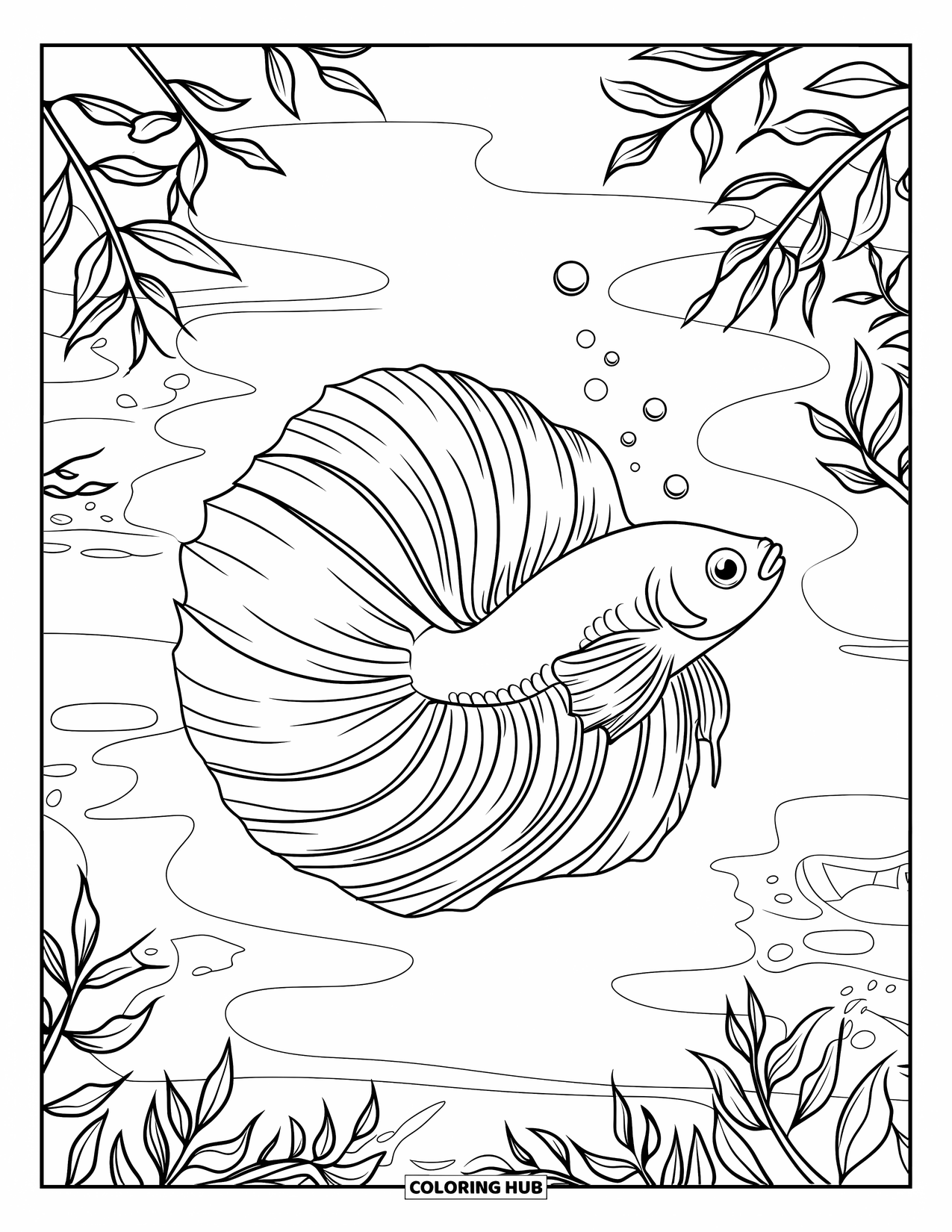 Fisch Ausmalbild für Kinder: Ein anmutiger Betta-Fisch mit langen, fließenden Flossen schwimmt durch einen Teich mit schwebenden Blasen
