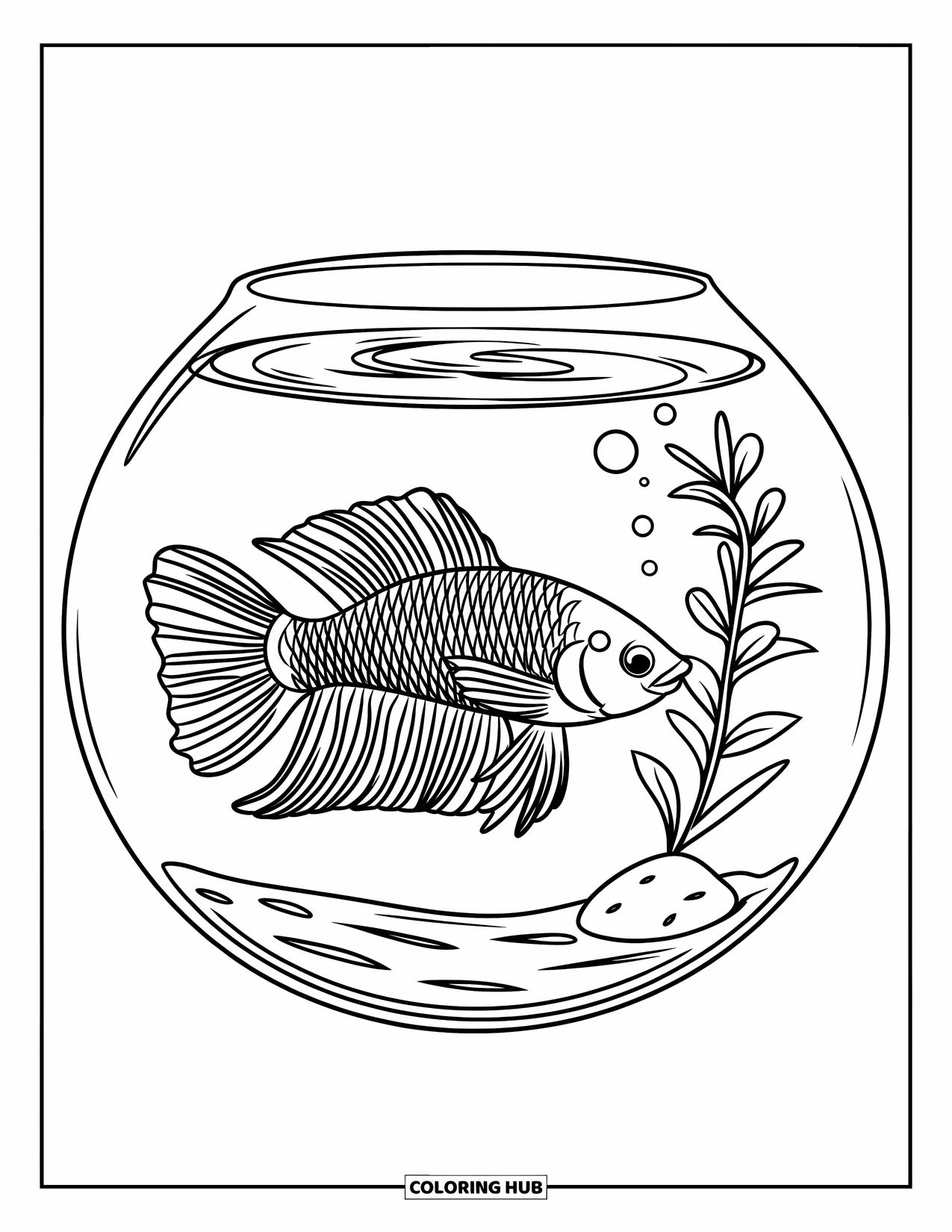 Fisch Ausmalbild für Kinder: Ein kleiner Betta-Fisch mit fließenden Flossen gleitet in einem Aquarium mit einem Stein und einer Pflanze