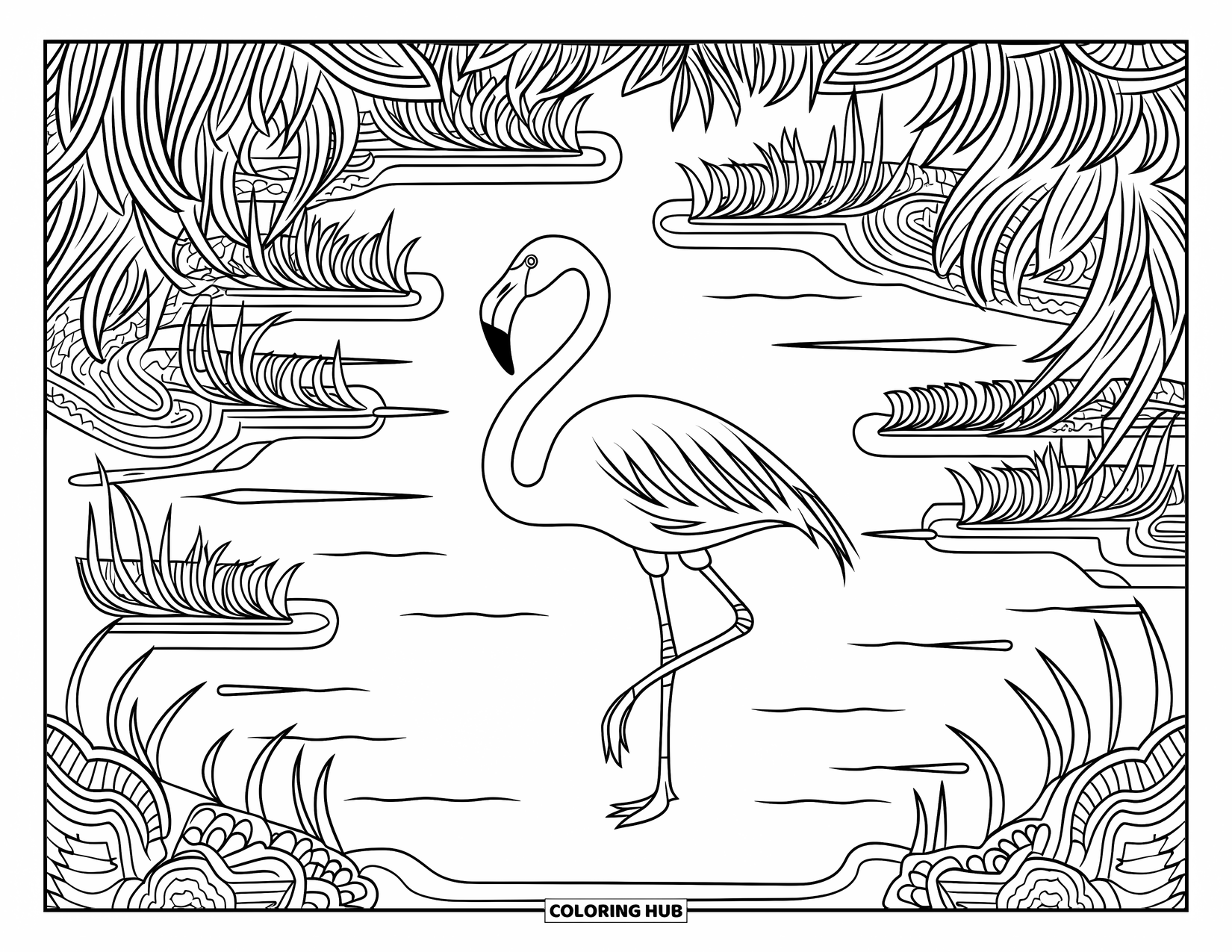Desenho de flamingo para colorir para adultos: Um flamingo está em um pântano entre juncos e ondulações de água