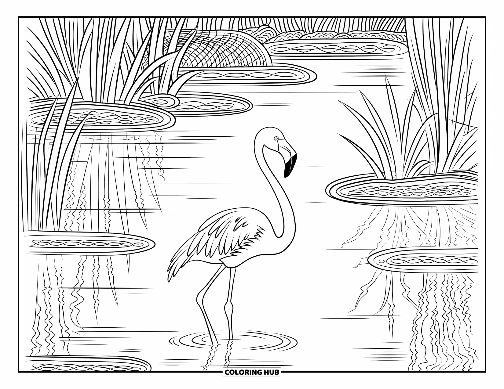 Desenho de flamingo para colorir para adultos: Um flamingo está em um pântano entre juncos altos e água calma