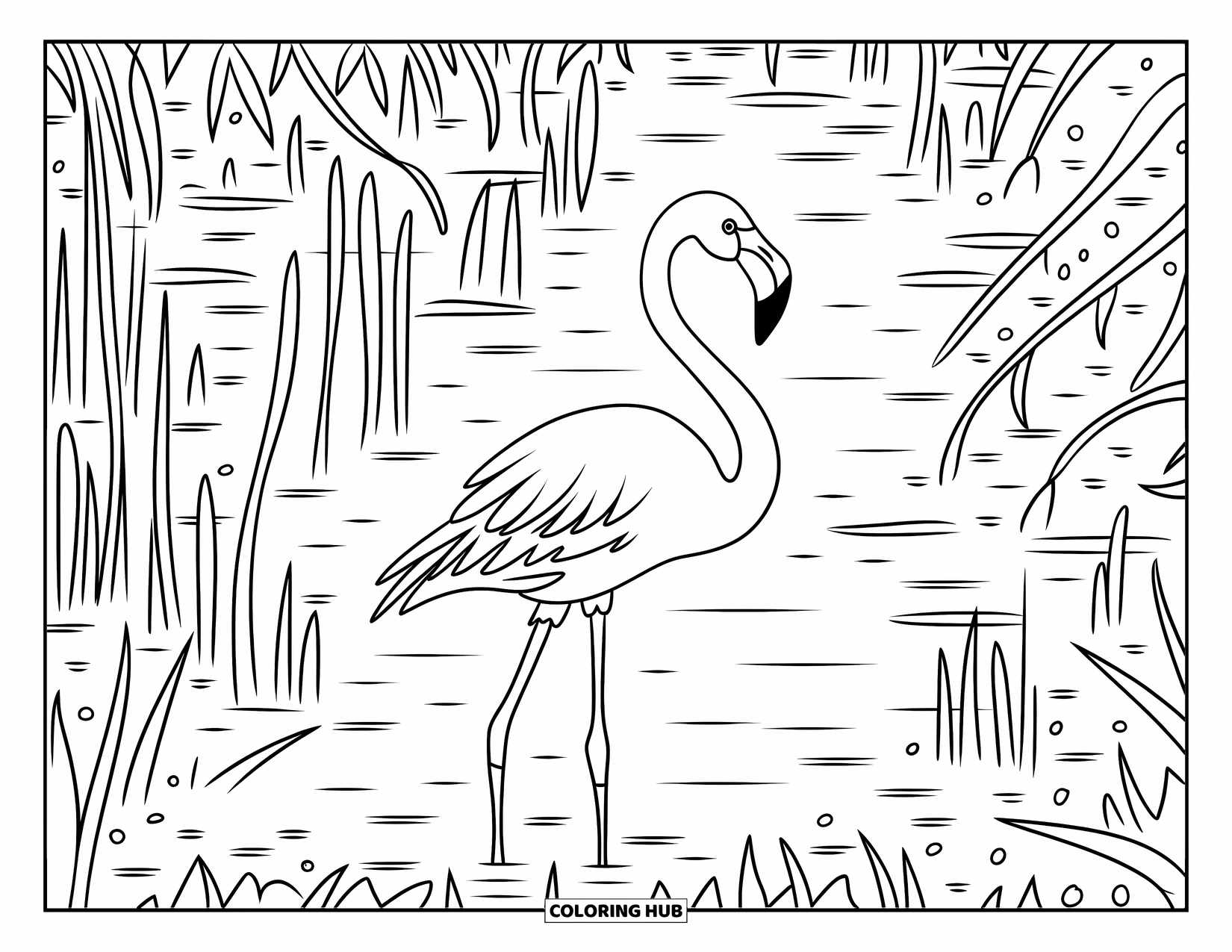 Desenho de flamingo para colorir para adultos: Um flamingo está em um pântano com juncos e água texturizada
