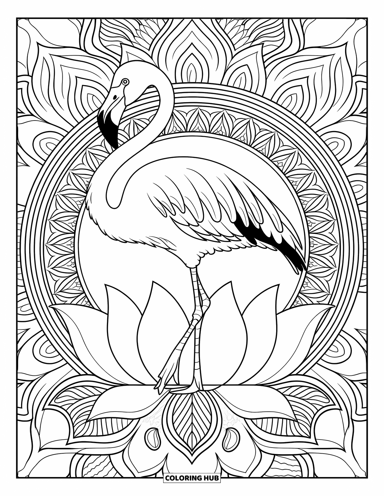 Desenho de flamingo para colorir para adultos: Um flamingo está em uma flor de lótus em uma mandala intrincada