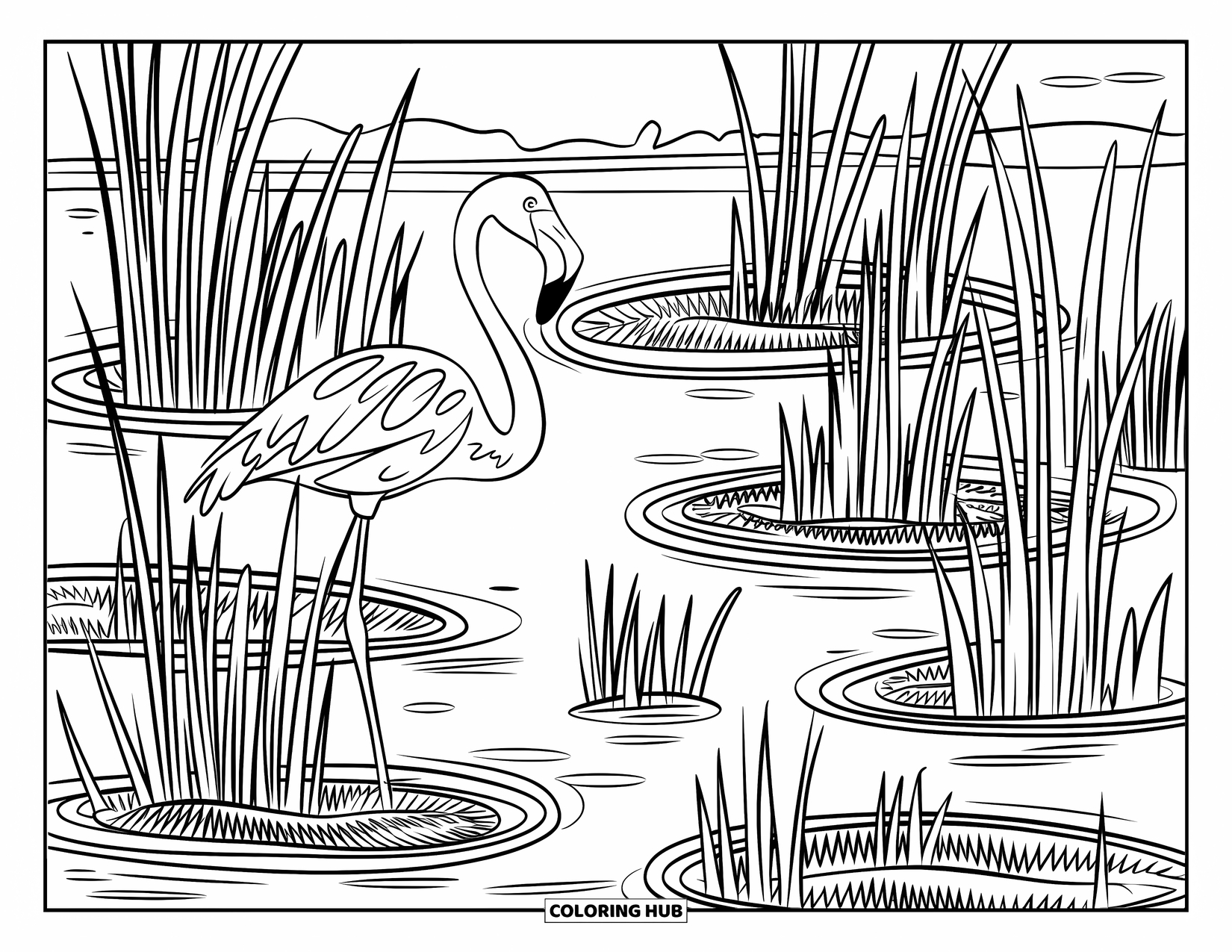 Desenho de flamingo para colorir para adultos: Dois flamingos estão em um lago cercado por padrões ornamentais