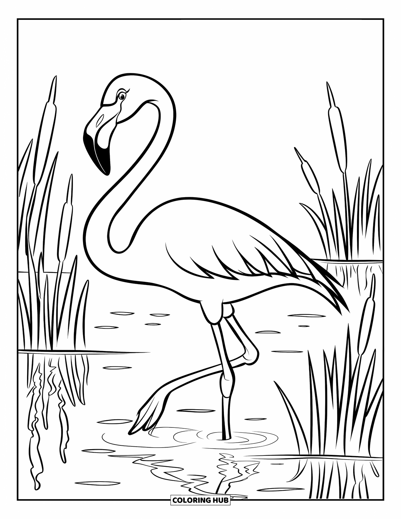 Desenho de flamingo para colorir para crianças: Um flamingo está em águas rasas com juncos ao redor