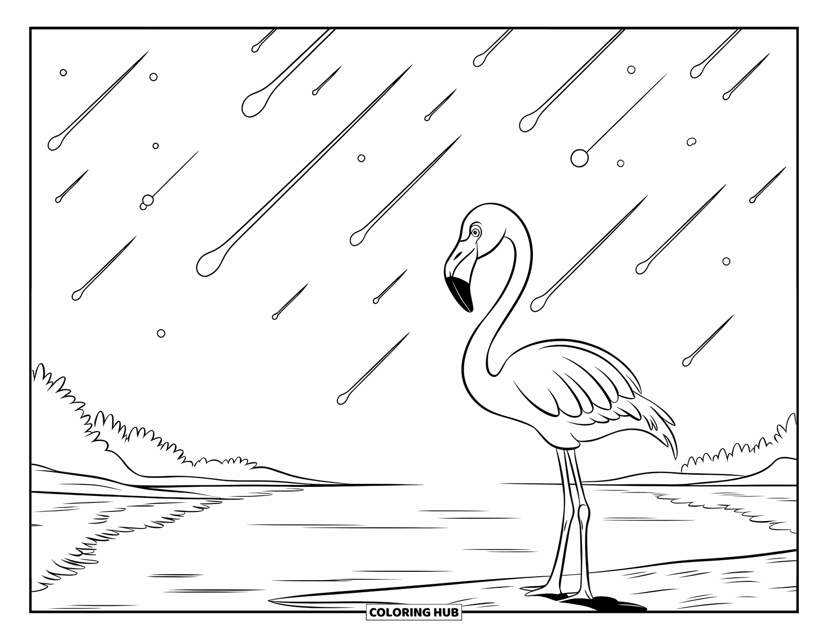Desenho de flamingo para colorir para crianças: Um flamingo observa uma chuva de meteoros acima de águas calmas à beira-mar
