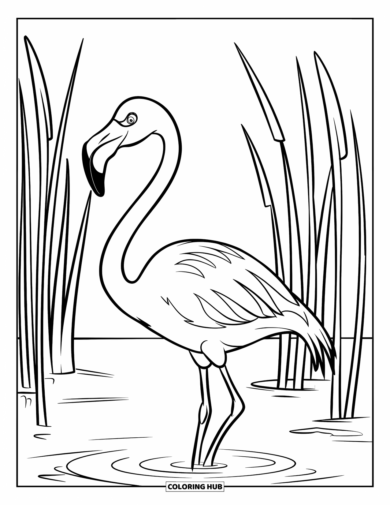Desenho de flamingo para colorir para crianças: Um flamingo com um pescoço longo está na água entre juncos altos