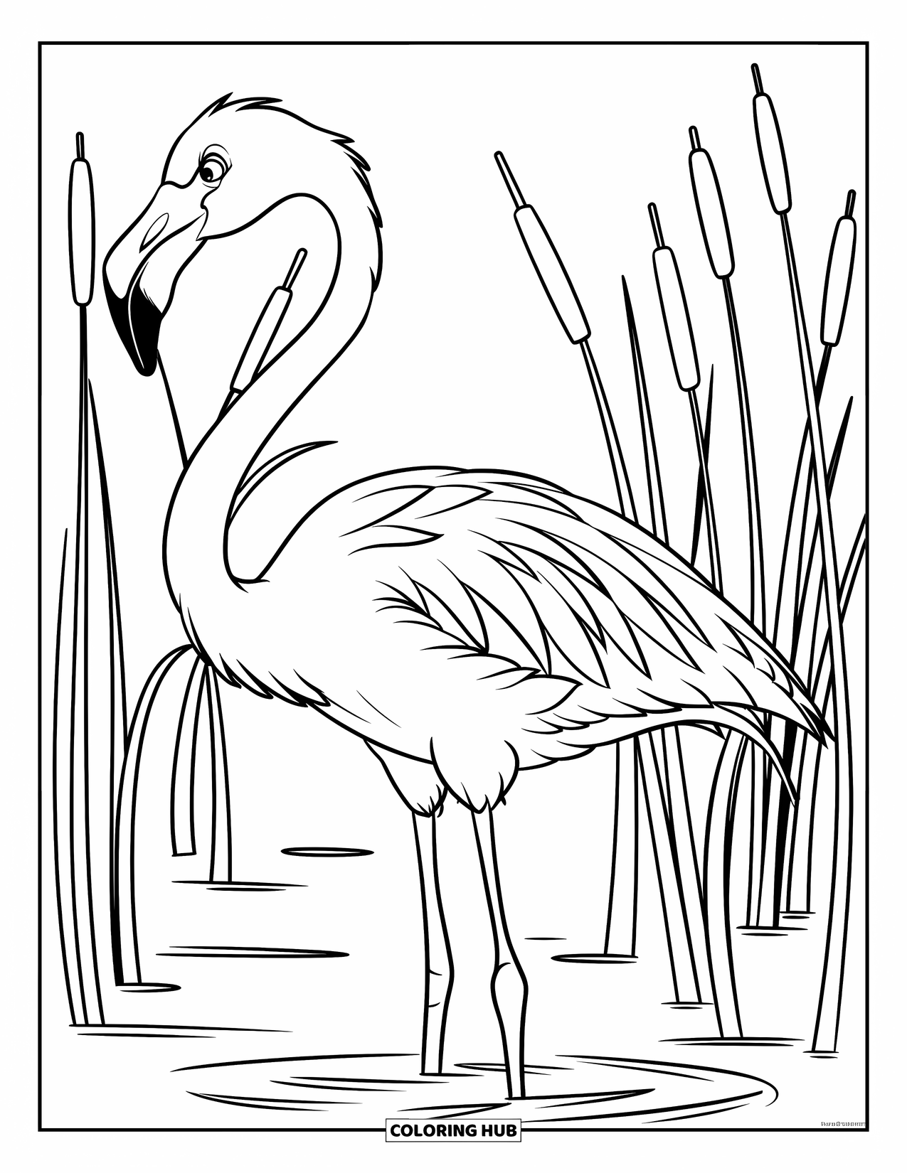 Desenho de flamingo para colorir para crianças: Um flamingo com um pescoço longo caminha pela água cercado por juncos altos