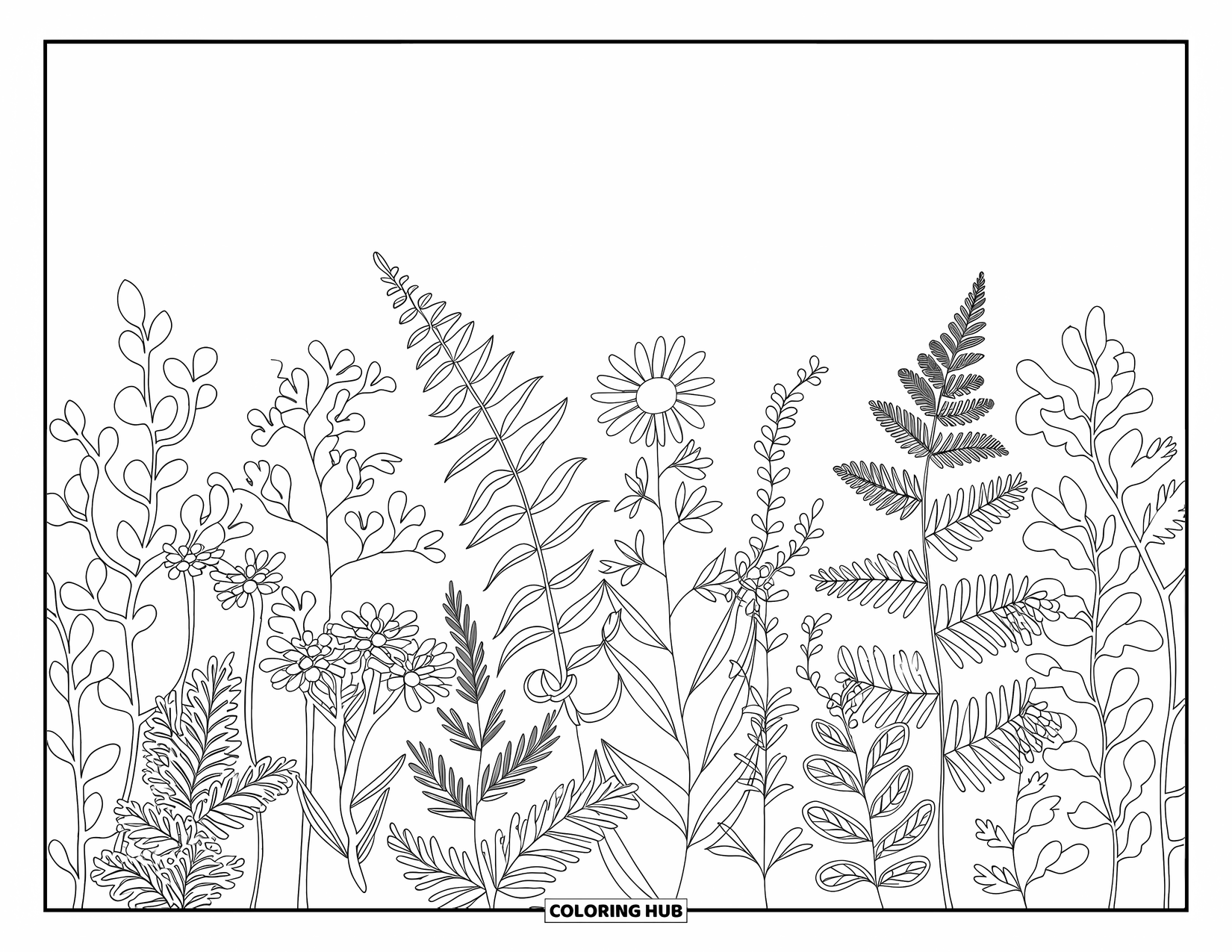Dibujo de flores para colorear para adultos: Un arreglo botánico de hierbas, helechos y flores silvestres con detalles intrincados y diseños fluidos