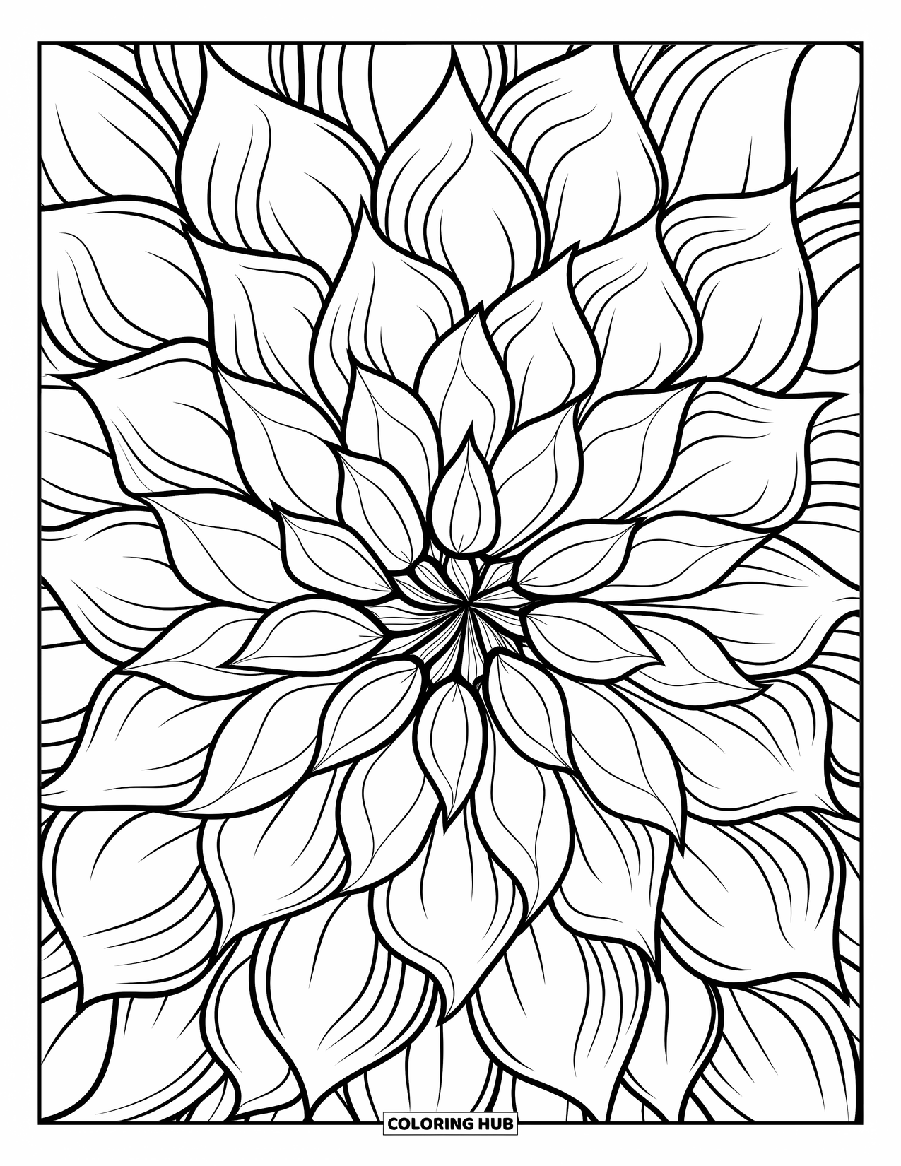 Dibujo de flores para colorear para adultos: Un primer plano de una dalia intrincada con pétalos superpuestos y fascinantes