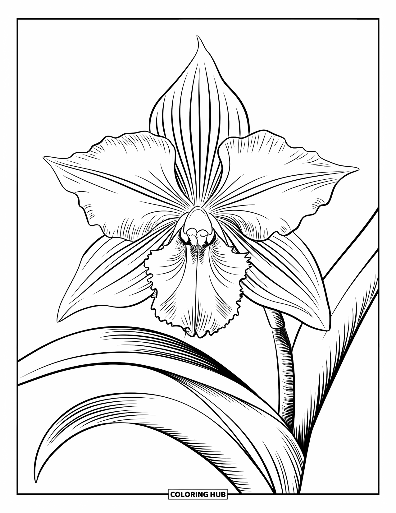 Dibujo de flores para colorear para adultos: Una orquídea exótica con intrincados detalles de pétalos y hojas que se curvan con gracia en un tallo delgado