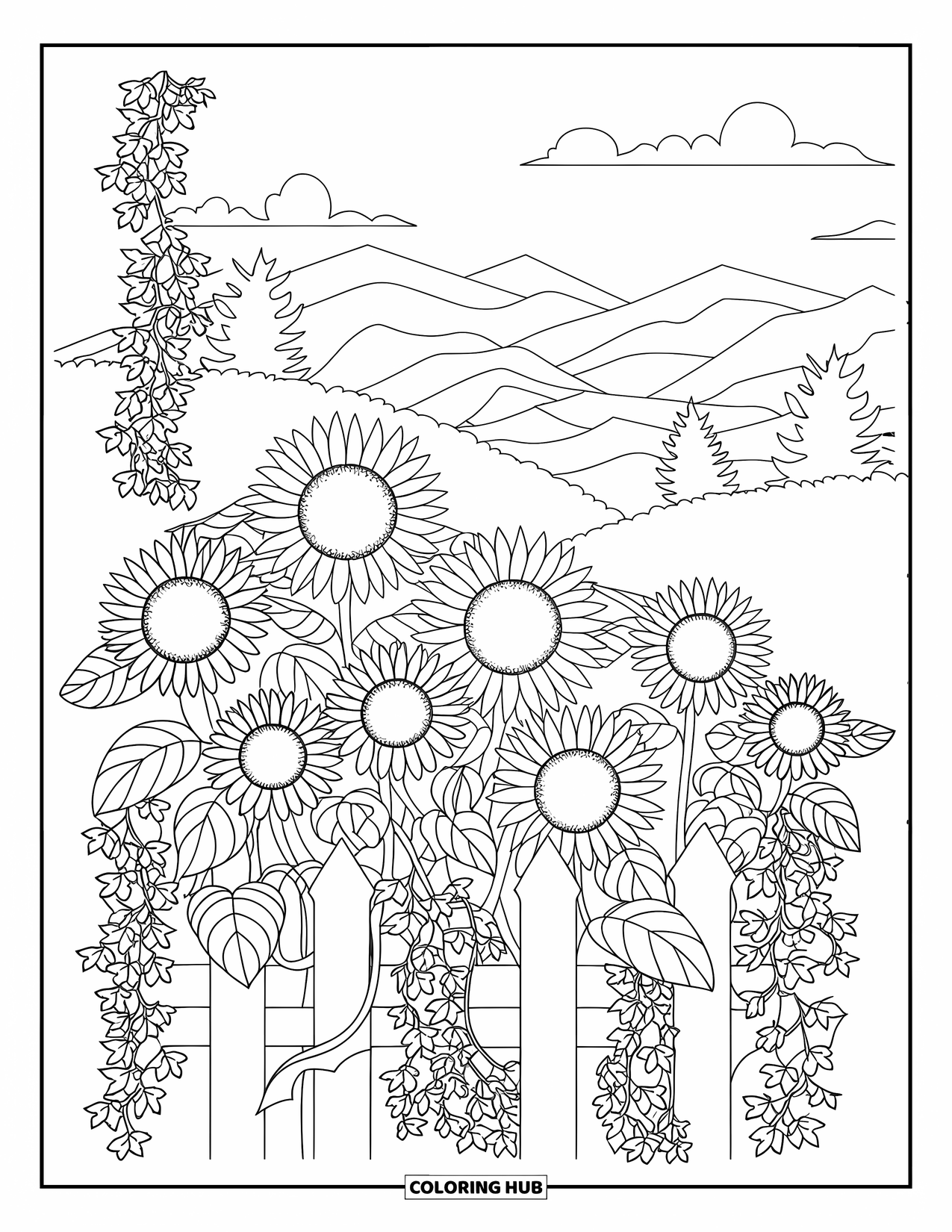 Dibujo de flores para colorear para adultos: Girasoles e hiedra se entrelazan a lo largo de una cerca con una vista lejana de la montaña y nubes dispersas