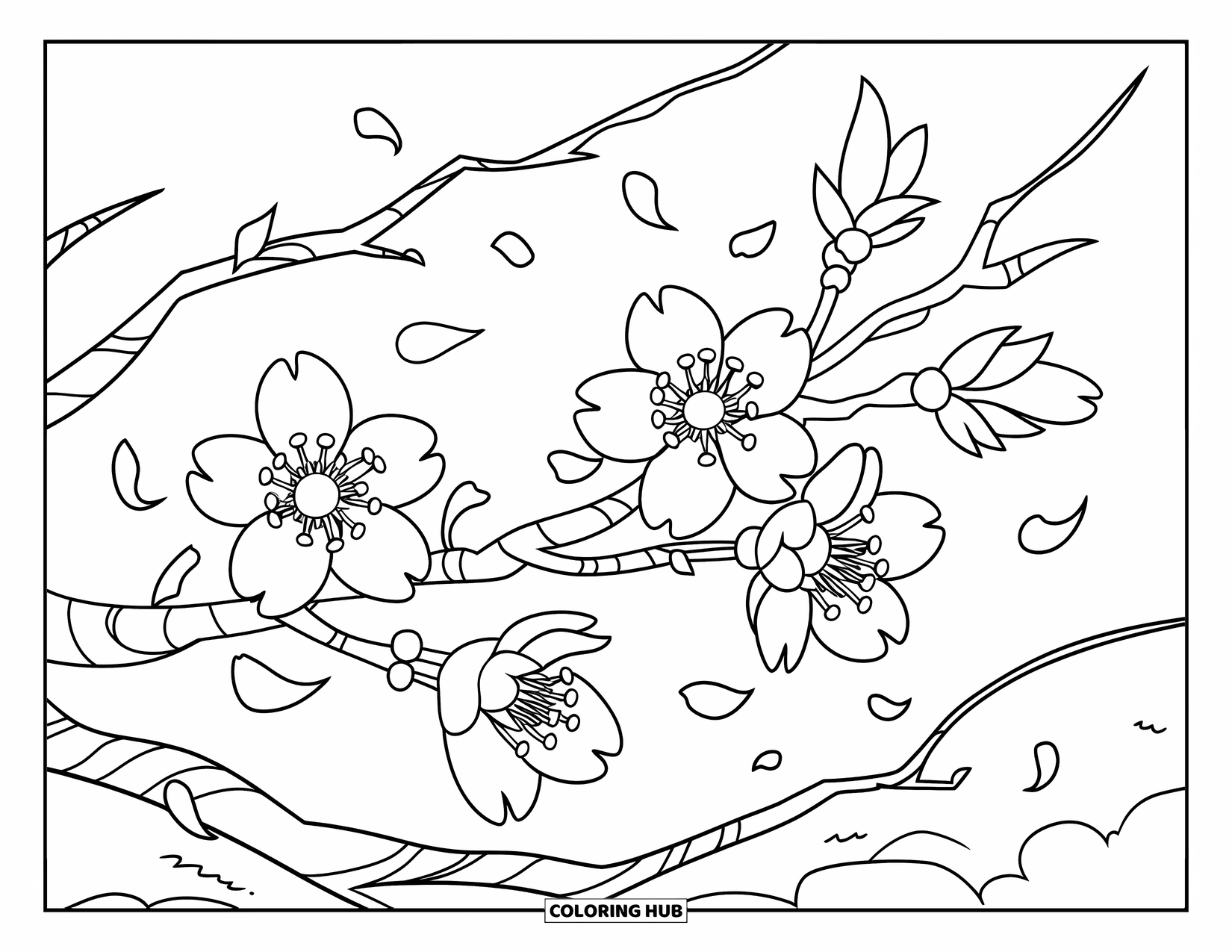 Dibujo de flores para colorear para niños: Una rama de cerezo en flor con pétalos que caen al suelo