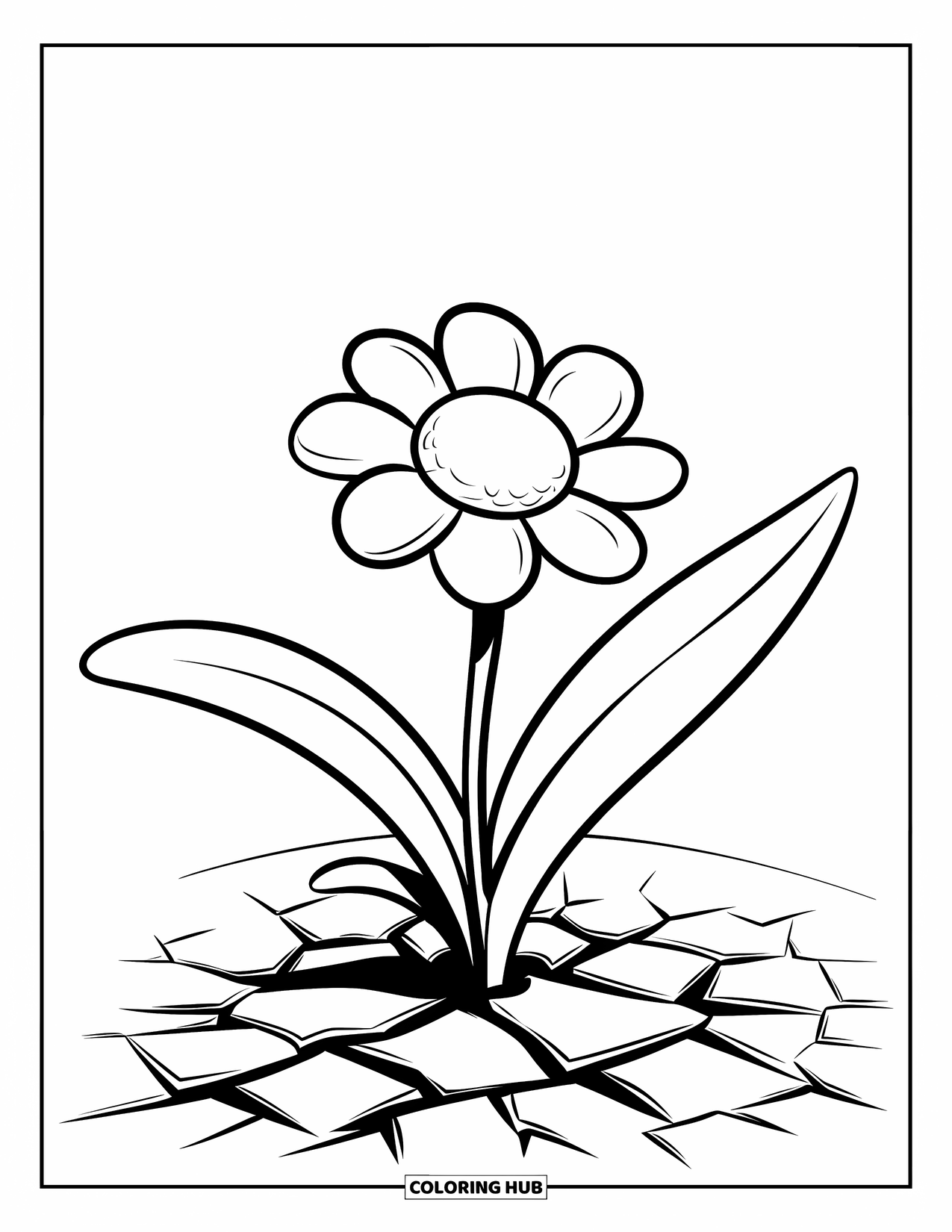 Dibujo de flores para colorear para niños: Una flor en flor con pétalos en capas y hojas anchas que emergen de un suelo seco y agrietado