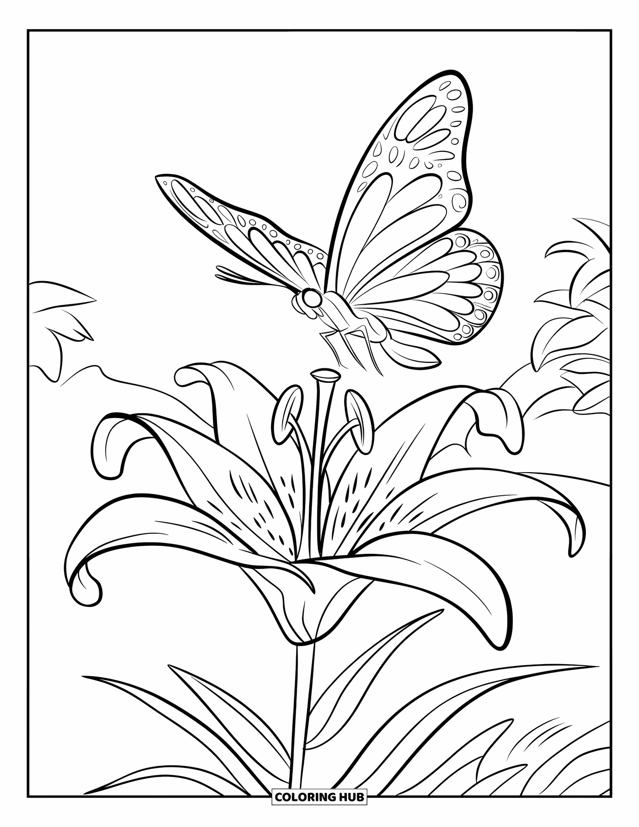 Dibujo de flores para colorear para niños: Un lirio en flor con una mariposa volando por encima, dibujado con un diseño simple y limpio