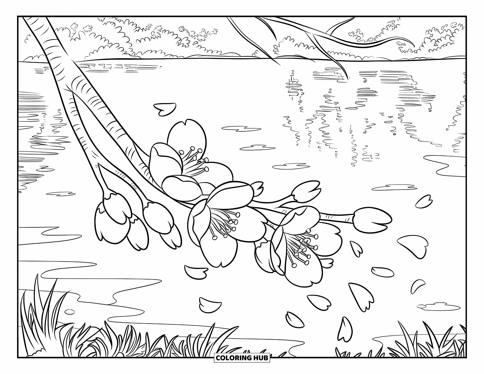 Dibujo de flores para colorear para niños: Una rama llena de flores de cerezo, con pétalos suaves flotando en el aire