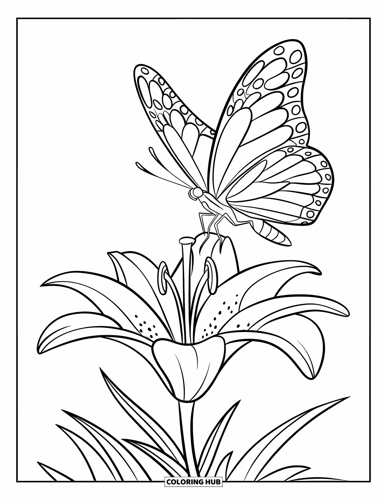 Dibujo de flores para colorear para niños: Una mariposa vuela suavemente sobre un lirio, con hojas en su base, delineado en un diseño nítido