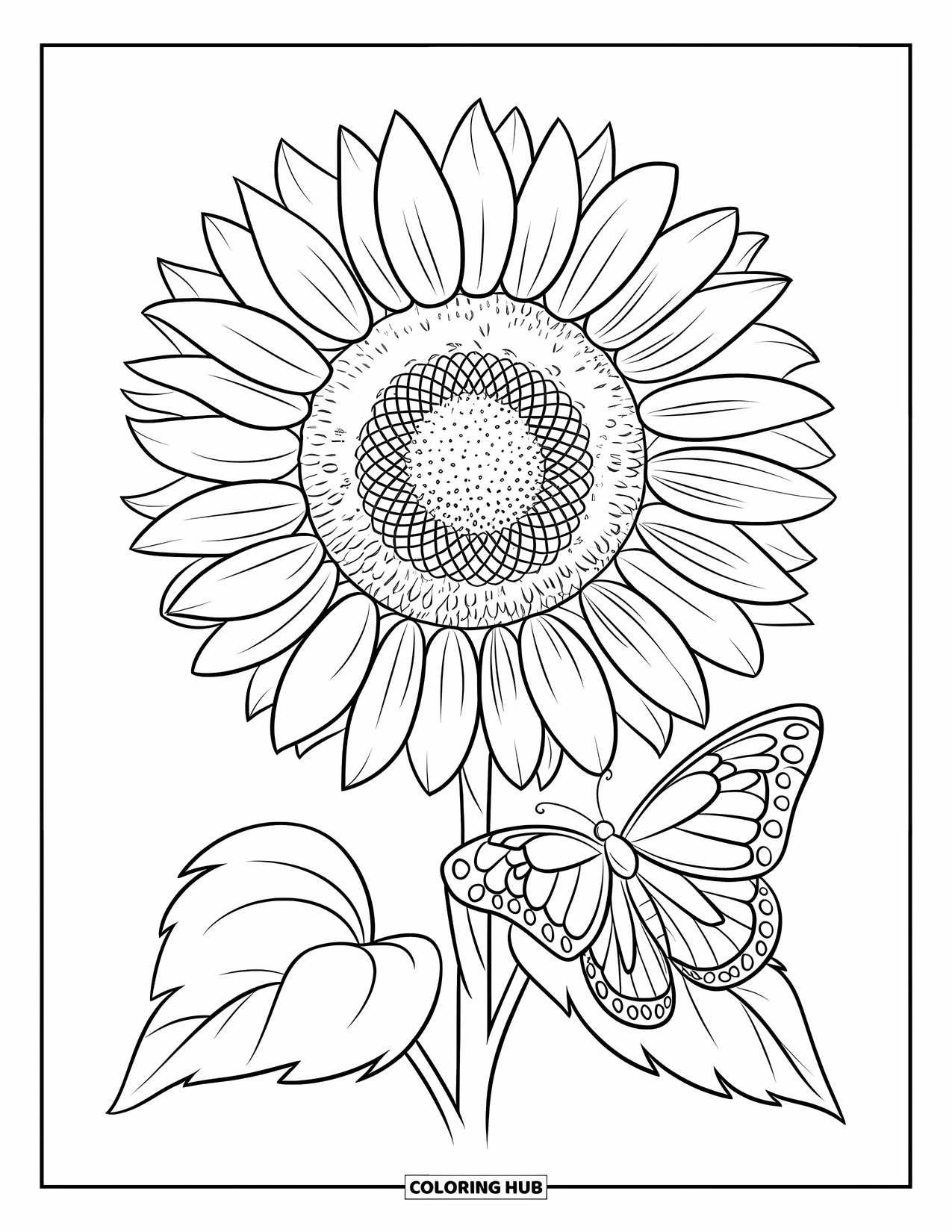 Dibujo de flores para colorear para niños: Una mariposa descansando en el tallo de un girasol con un centro brillante y redondo