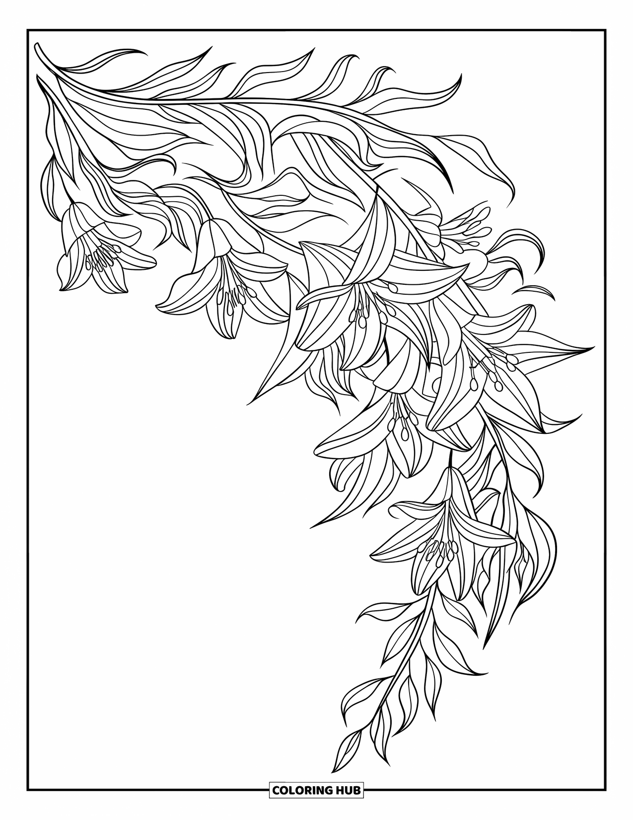 Dibujo de flores para colorear para niños: Una cascada de lirios y hojas fluidas crea una composición floral dinámica y elegante