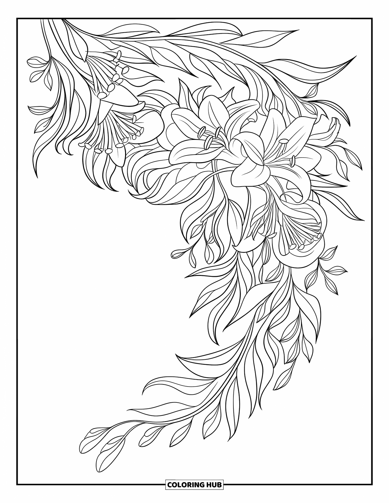 Dibujo de flores para colorear para niños: Un arreglo floral en cascada de lirios y hojas que fluye con gracia hacia abajo