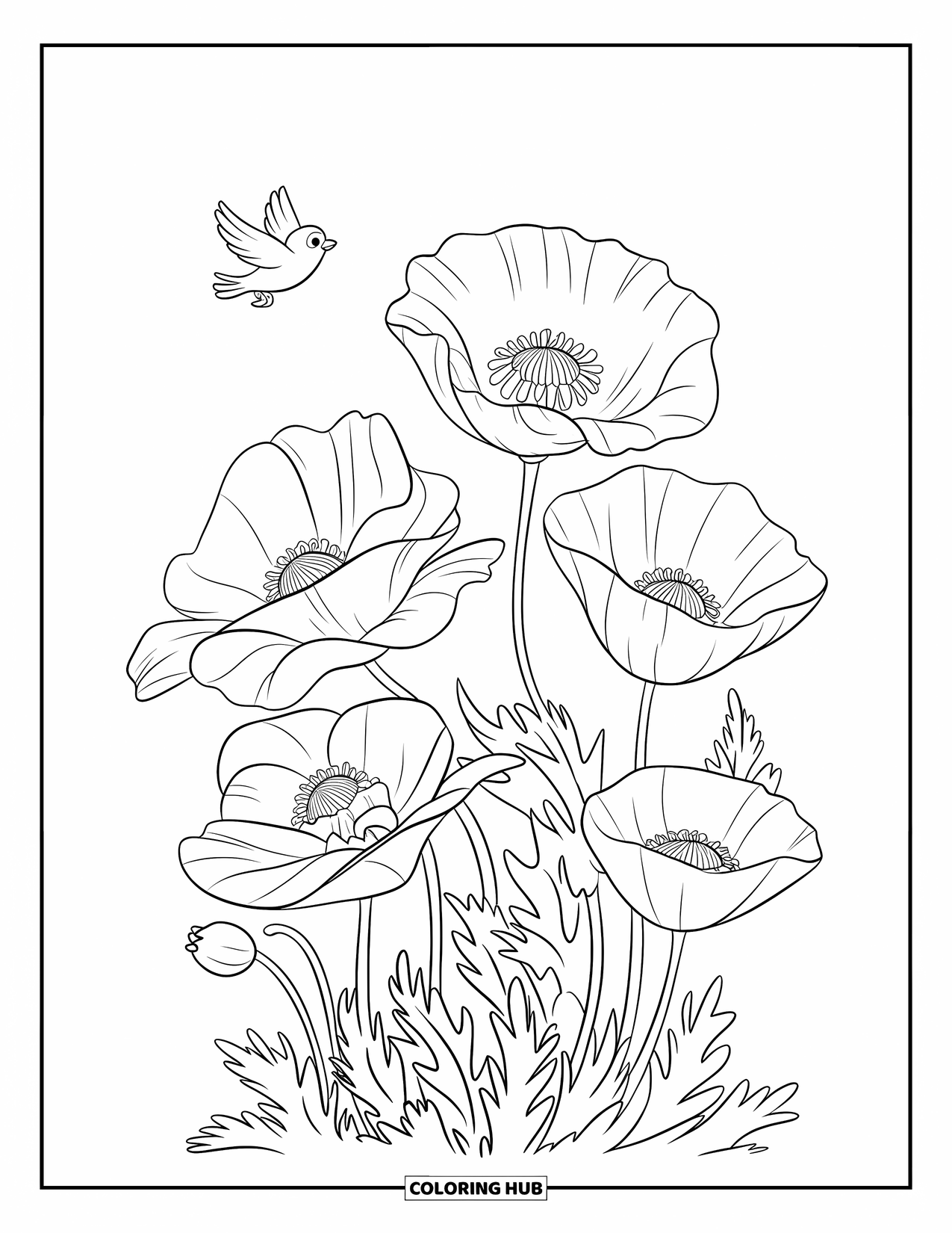 Dibujo de flores para colorear para niños: Un grupo de amapolas con pétalos delicados, acompañado por un pájaro que vuela cerca