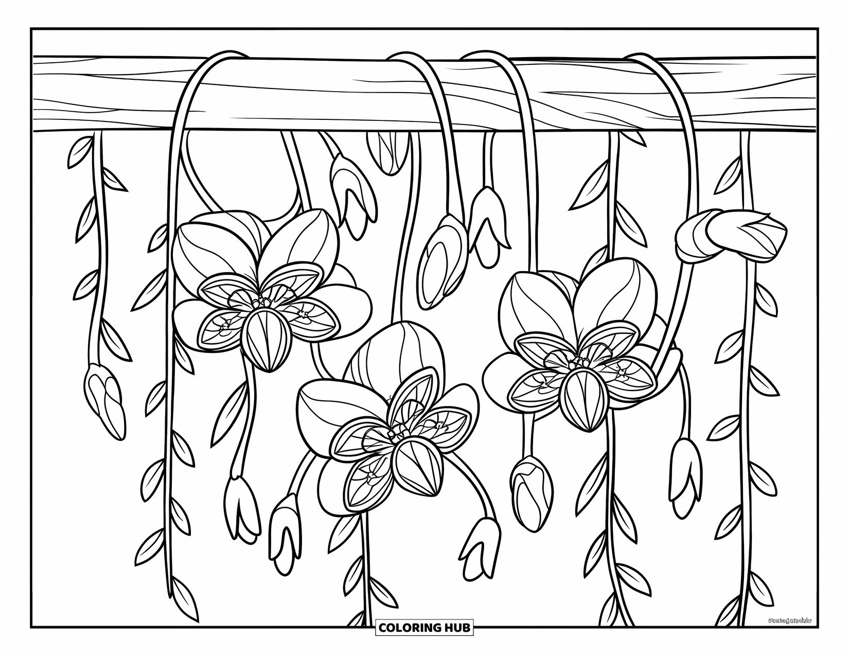 Dibujo de flores para colorear para niños: Una enredadera colgante con flores exóticas y brotes colgantes se envuelve alrededor de un poste de madera