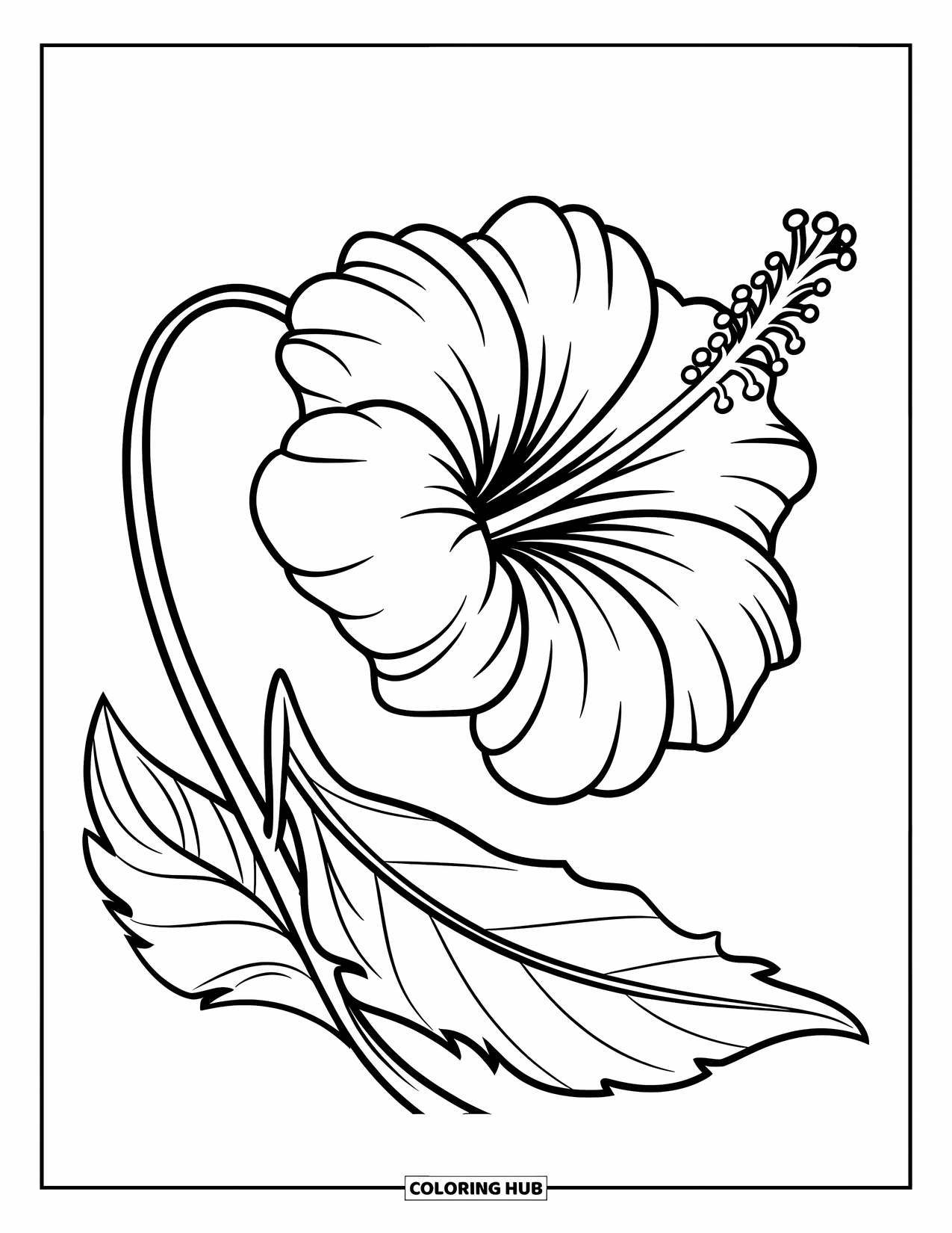 Dibujo de flores para colorear para niños: Un hibisco con un tallo grueso y una hoja que se extiende en un rizo suave