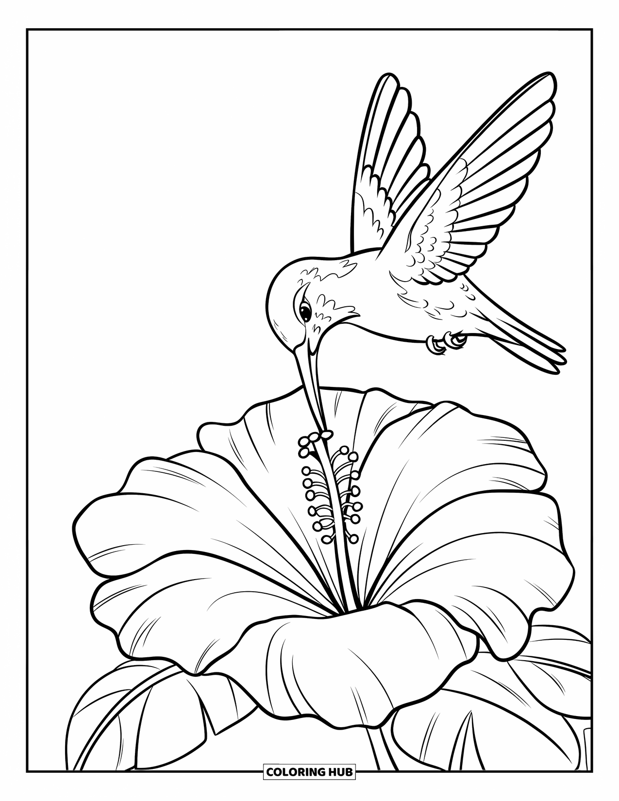 Dibujo de flores para colorear para niños: Un colibrí con las alas extendidas se alimenta de una flor de hibisco en plena floración